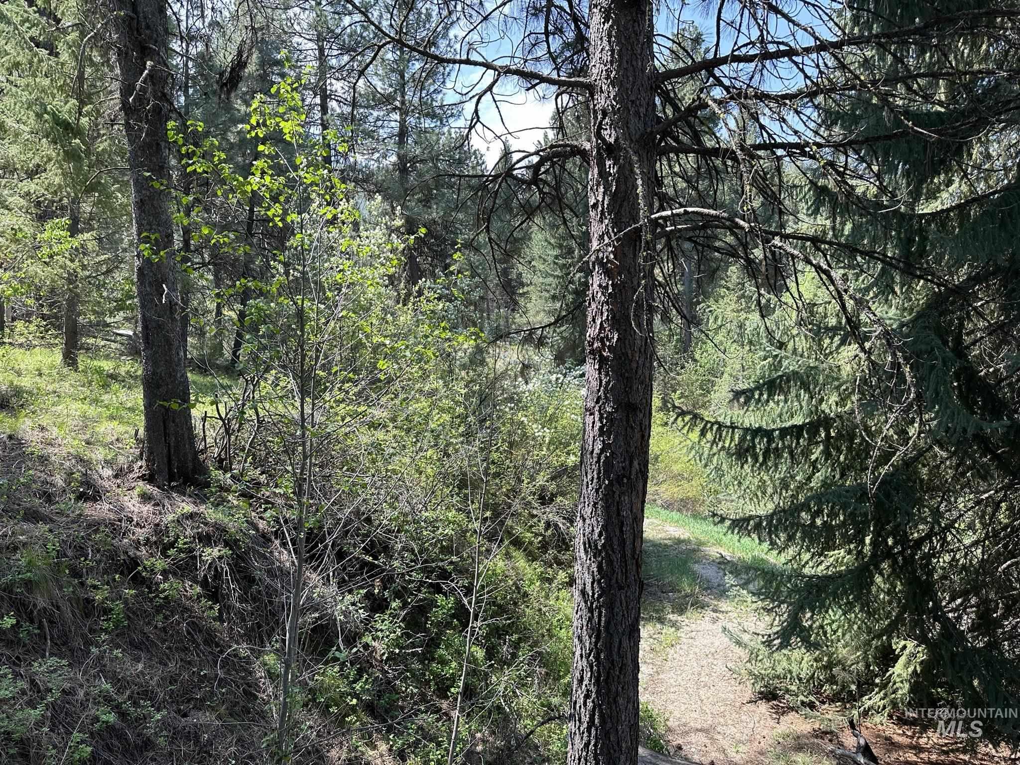 6 Willow Dr, Lowman, Idaho 83637, 3 Bedrooms, 1 Bathroom, Residential For Sale, Price $449,000, 98943062