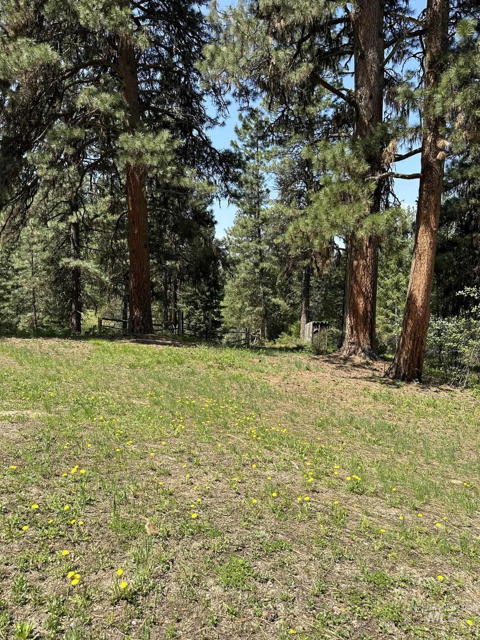 6 Willow Dr, Lowman, Idaho 83637, 3 Bedrooms, 1 Bathroom, Residential For Sale, Price $449,000, 98943062