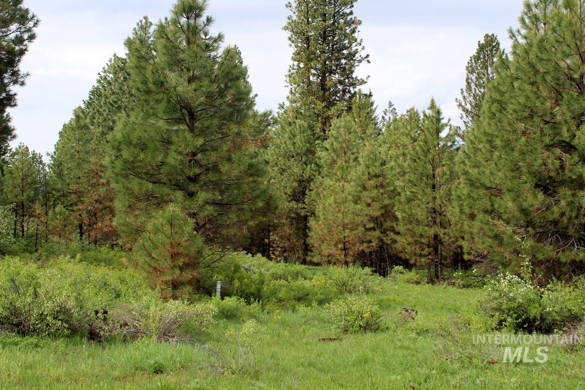 9 Kayla Way, Cascade, Idaho 83611, Land For Sale, Price $189,000, 98943093