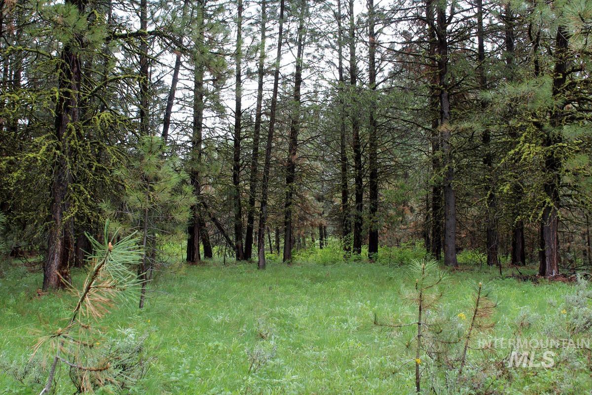 9 Kayla Way, Cascade, Idaho 83611, Land For Sale, Price $189,000, 98943093