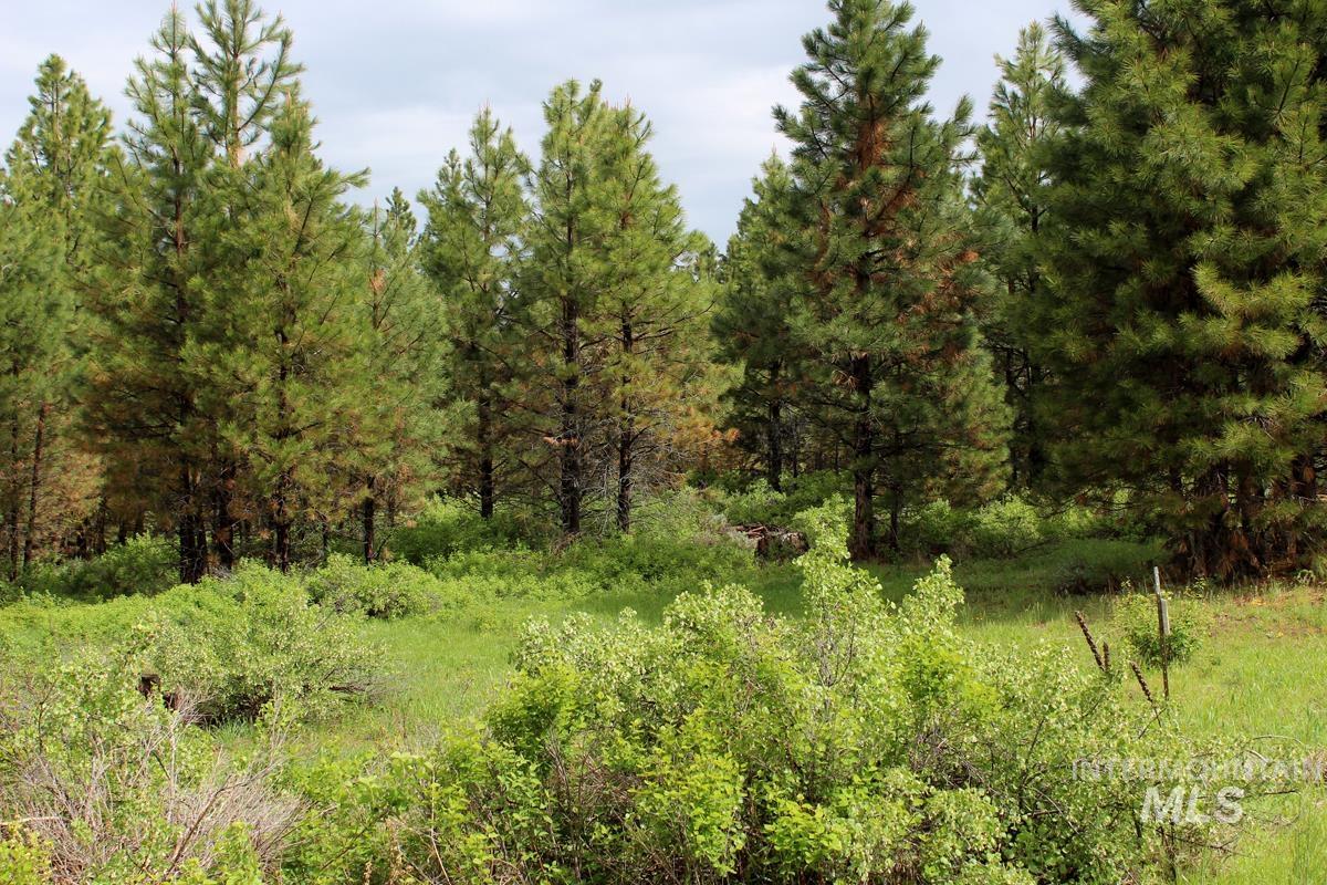 9 Kayla Way, Cascade, Idaho 83611, Land For Sale, Price $189,000, 98943093