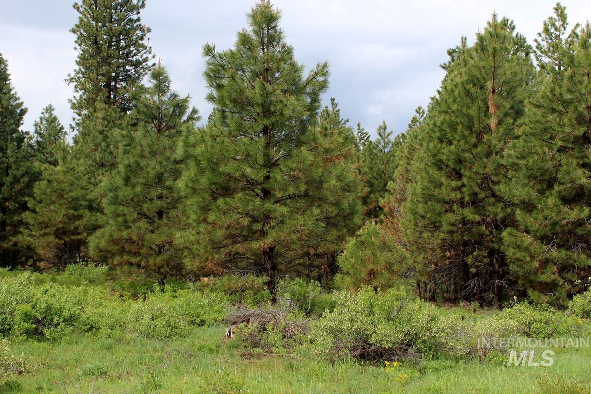 9 Kayla Way, Cascade, Idaho 83611, Land For Sale, Price $189,000, 98943093