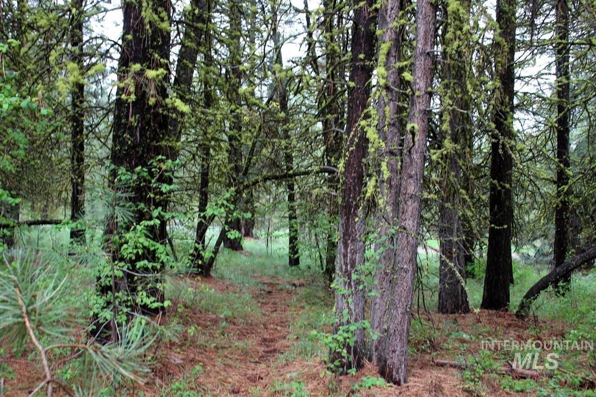 9 Kayla Way, Cascade, Idaho 83611, Land For Sale, Price $189,000, 98943093