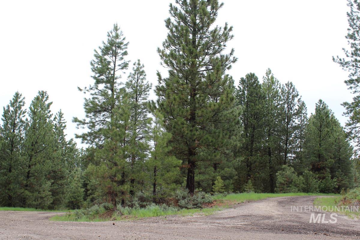 9 Kayla Way, Cascade, Idaho 83611, Land For Sale, Price $189,000, 98943093