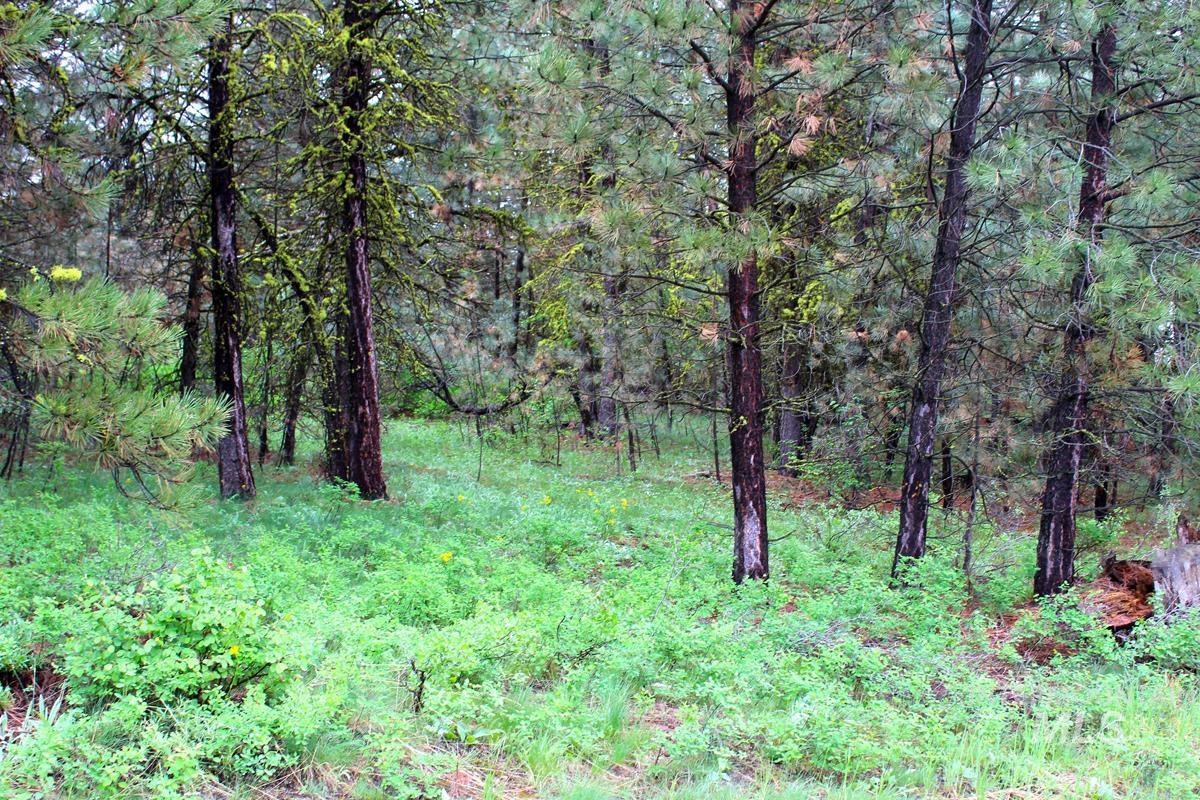 9 Kayla Way, Cascade, Idaho 83611, Land For Sale, Price $189,000, 98943093