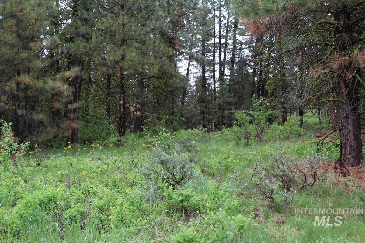 9 Kayla Way, Cascade, Idaho 83611, Land For Sale, Price $189,000, 98943093