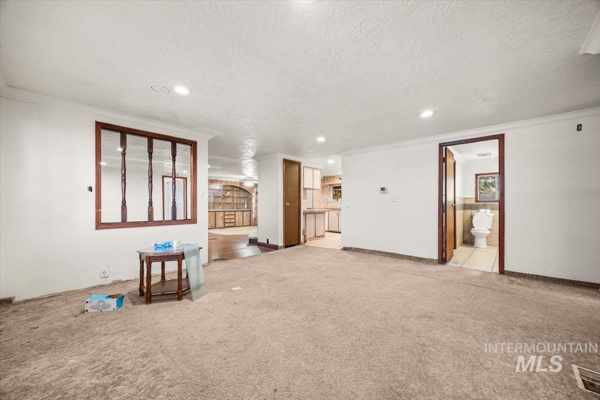 TV room with ornamental molding, a textured ceiling, carpet floors, and recessed lighting