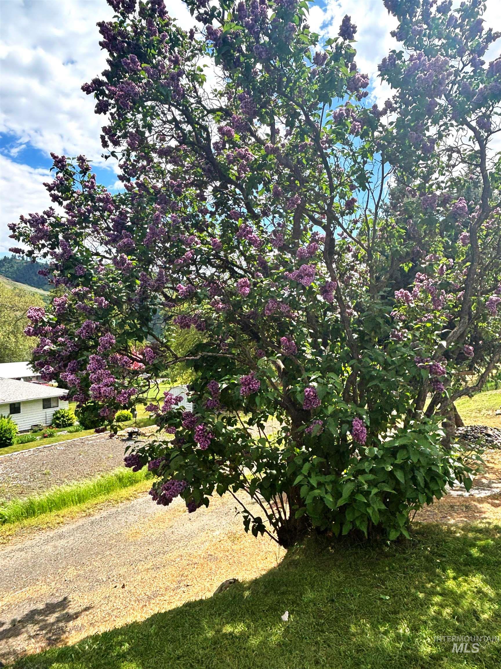 305 3rd Street, Juliaetta, Idaho 83535, 2 Bedrooms, 2 Bathrooms, Residential For Sale, Price $345,000, 98943145
