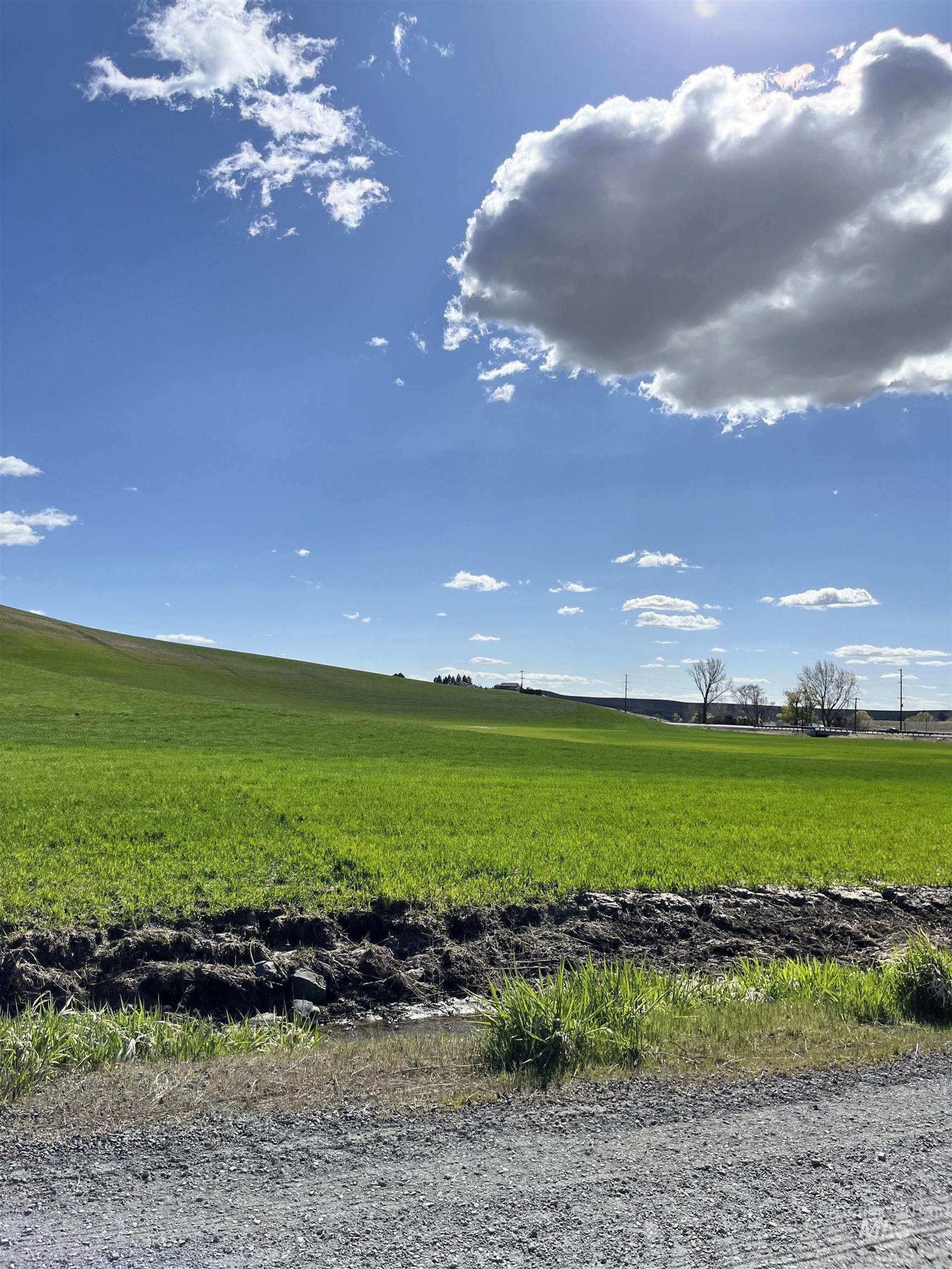 000 Rothfork Rd., Viola, Idaho 83872, Land For Sale, Price $220,000, 98943152