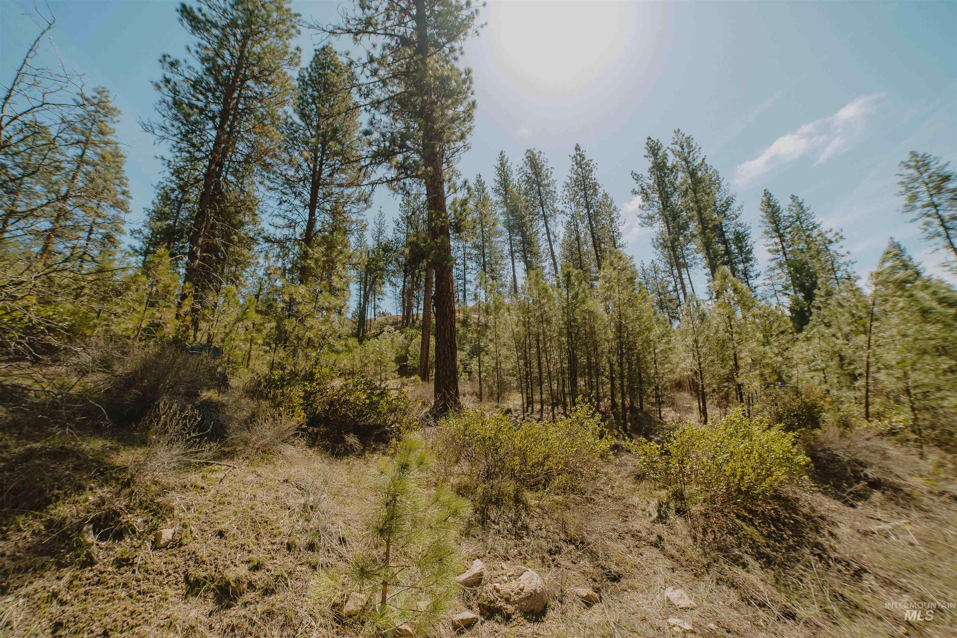 Lot 13, Boise, Idaho 83716, Land For Sale, Price $239,999, 98943626