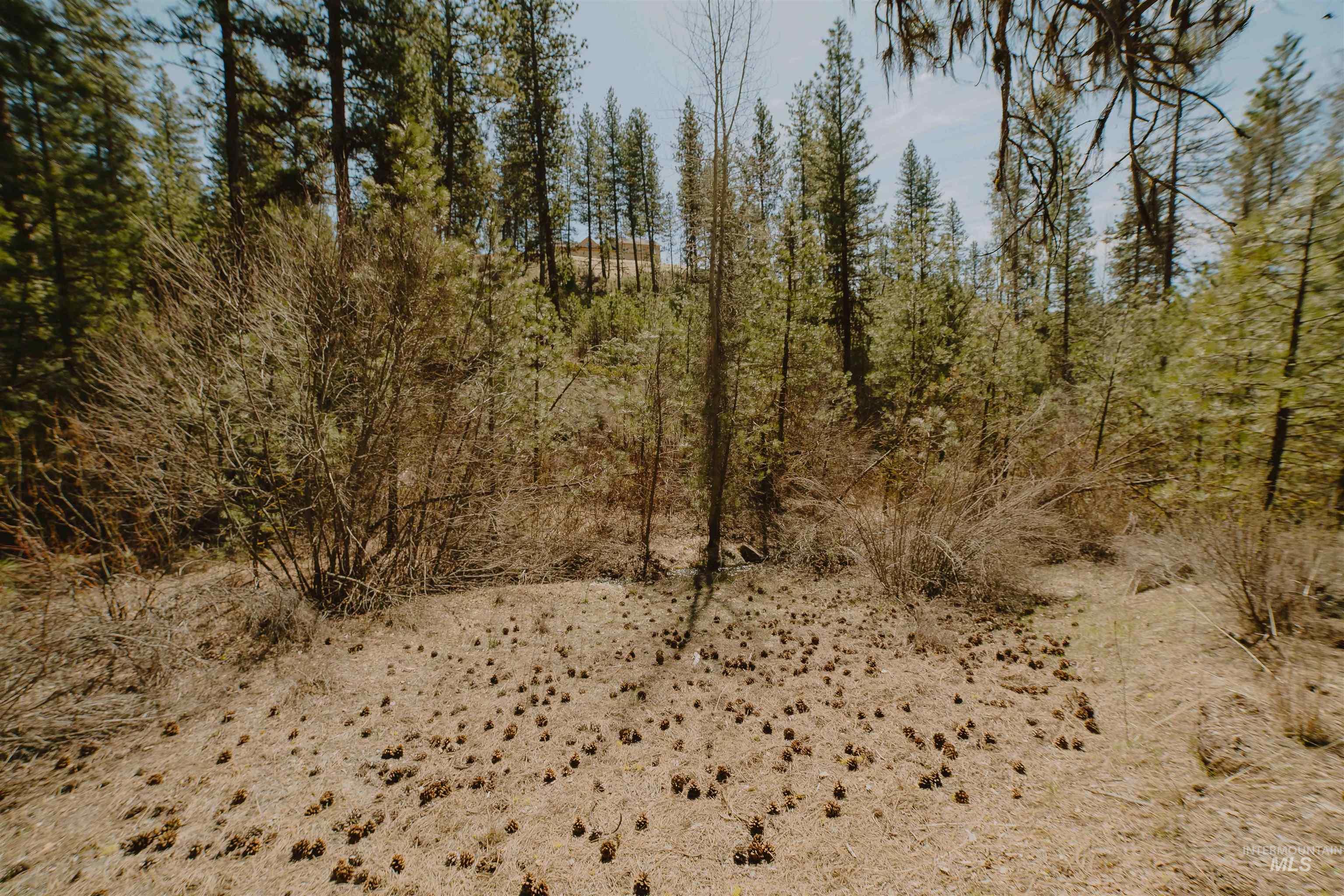 Lot 13, Boise, Idaho 83716, Land For Sale, Price $239,999, 98943626