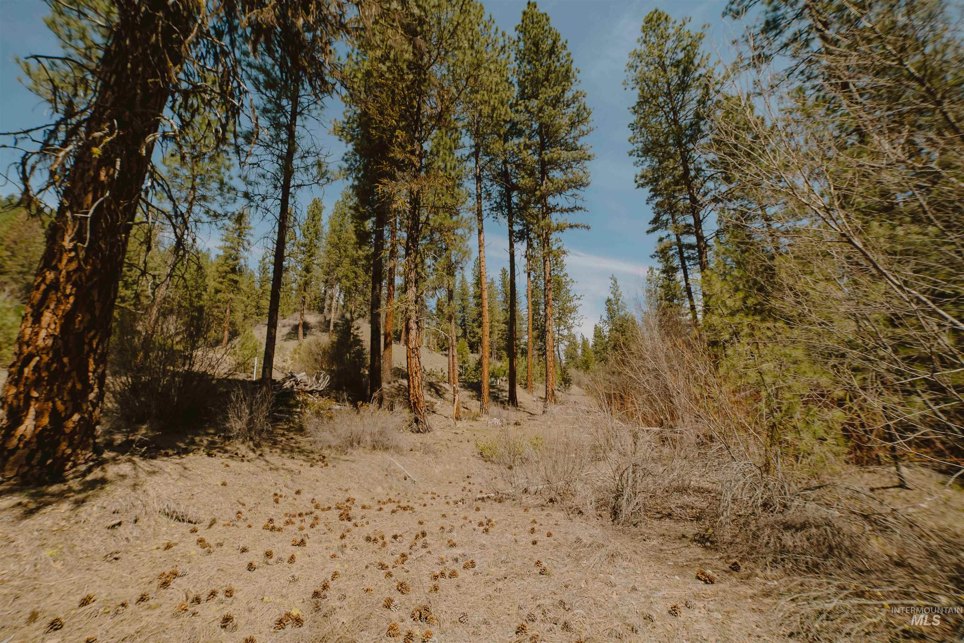 Lot 13, Boise, Idaho 83716, Land For Sale, Price $239,999, 98943626