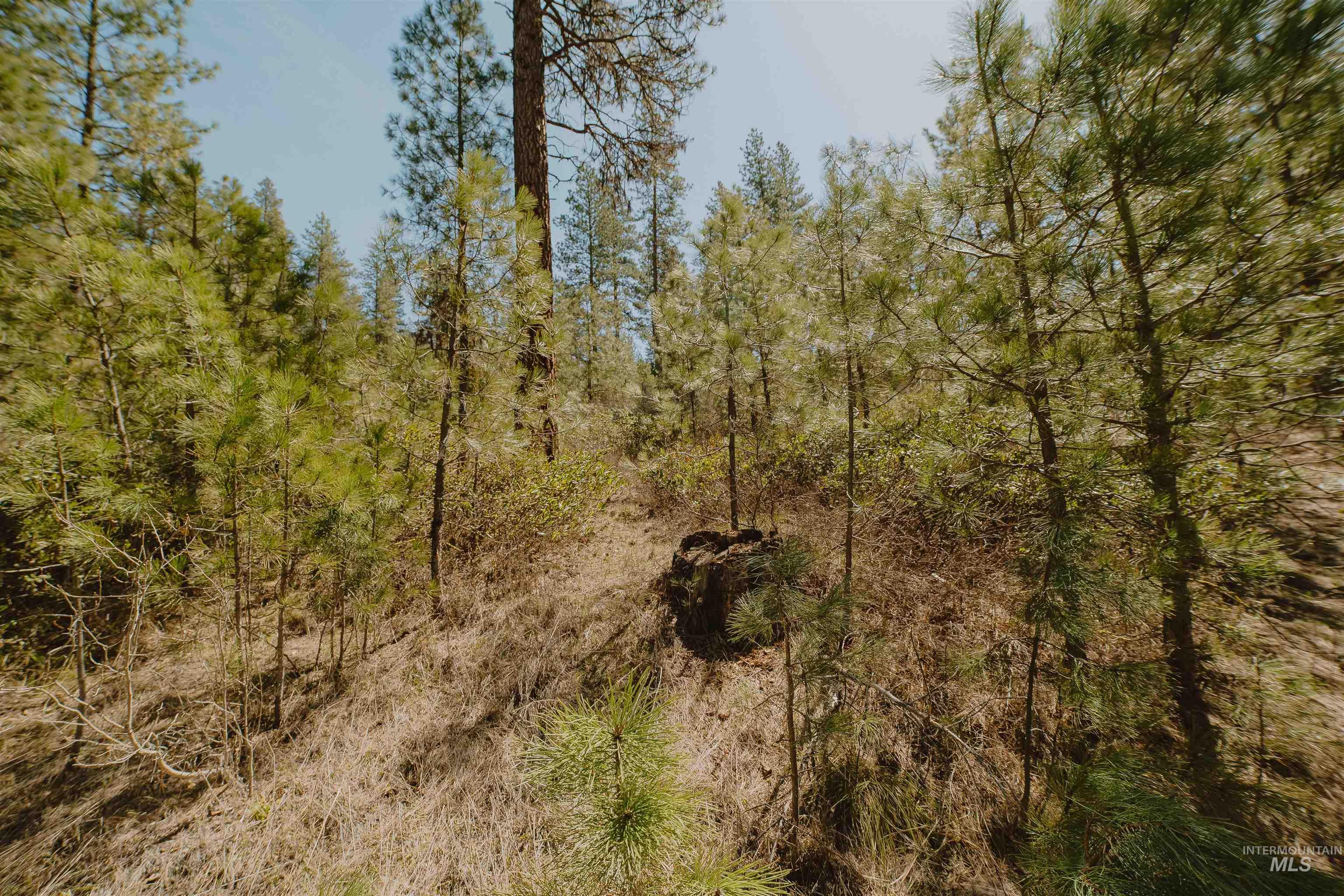 Lot 13, Boise, Idaho 83716, Land For Sale, Price $239,999, 98943626