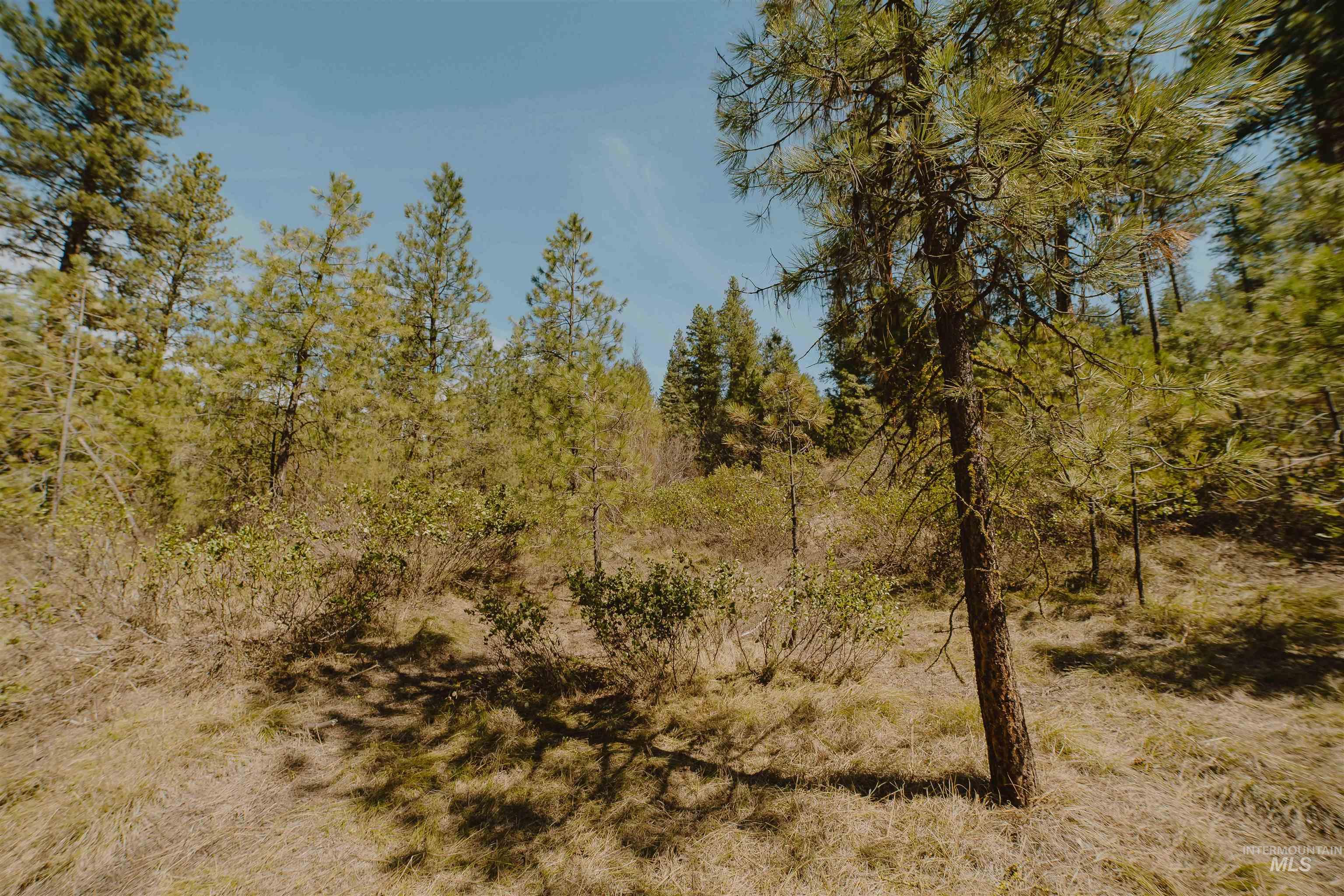 Lot 13, Boise, Idaho 83716, Land For Sale, Price $239,999, 98943626