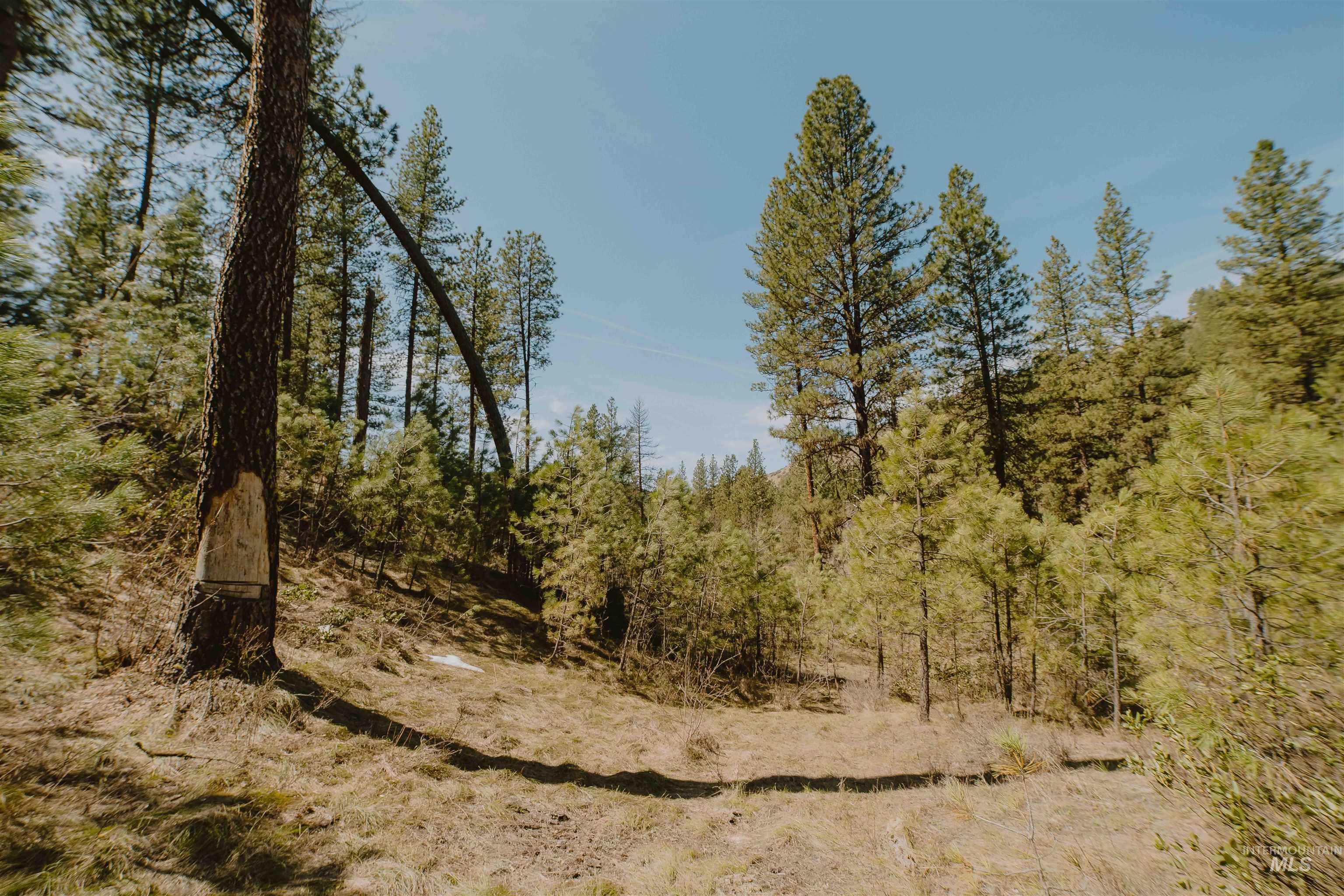 Lot 13, Boise, Idaho 83716, Land For Sale, Price $239,999, 98943626