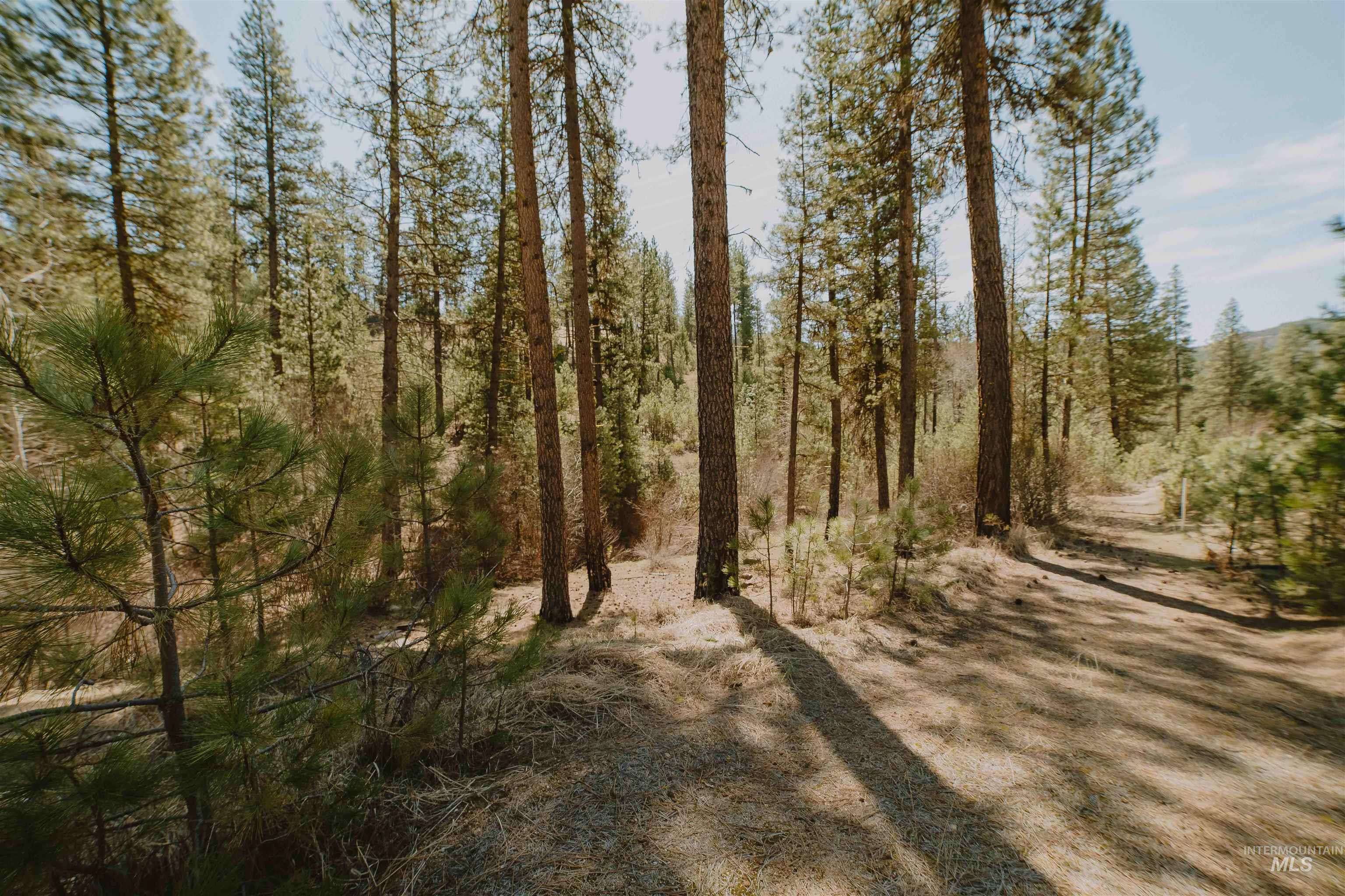 Lot 13, Boise, Idaho 83716, Land For Sale, Price $239,999, 98943626