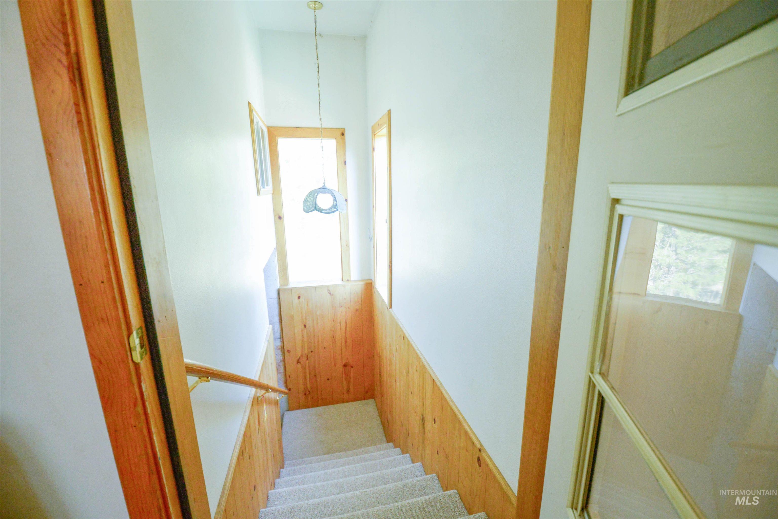 Stairs featuring carpet floors and healthy amount of natural light