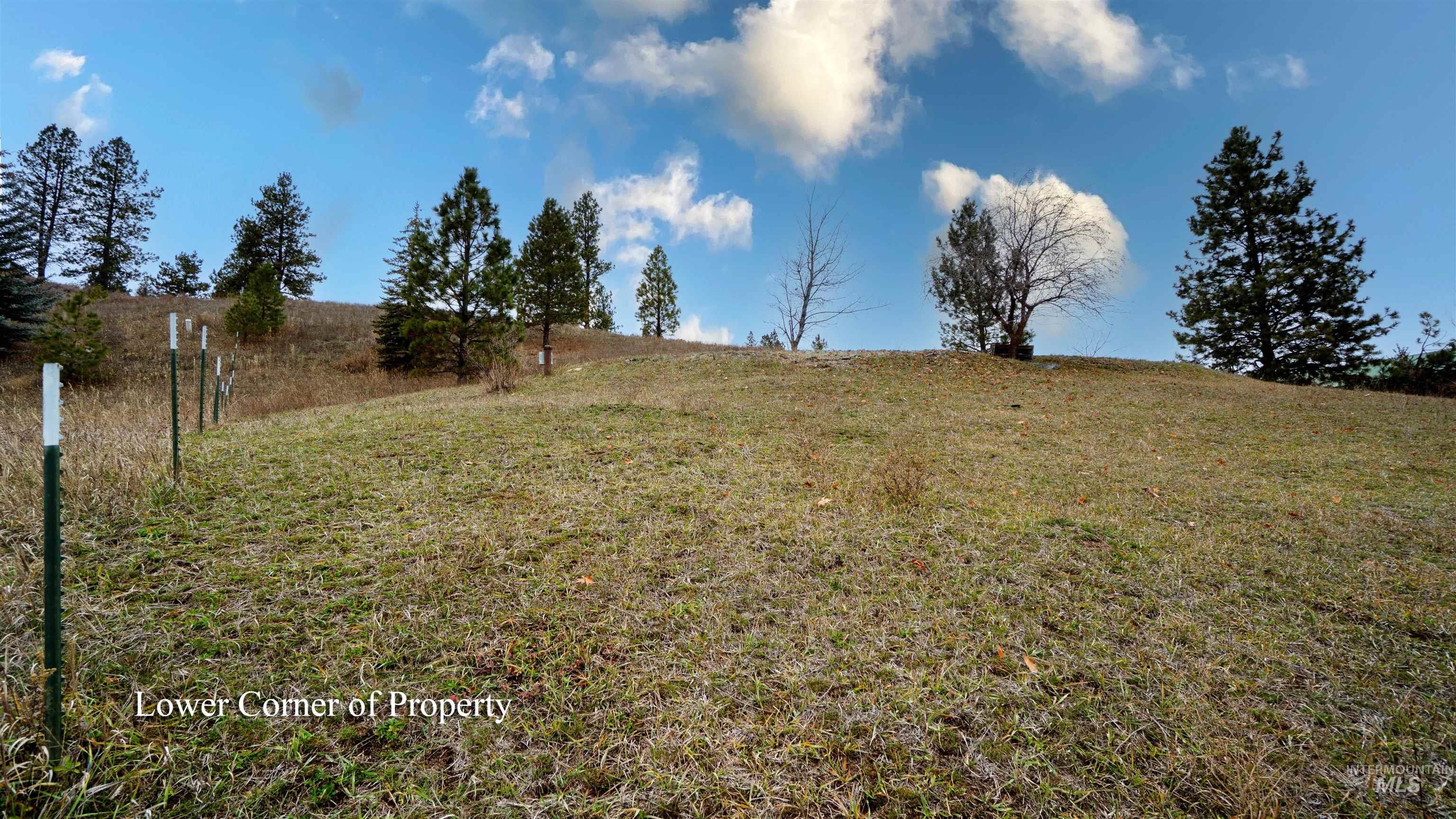 View of grassy yard with a rural view
