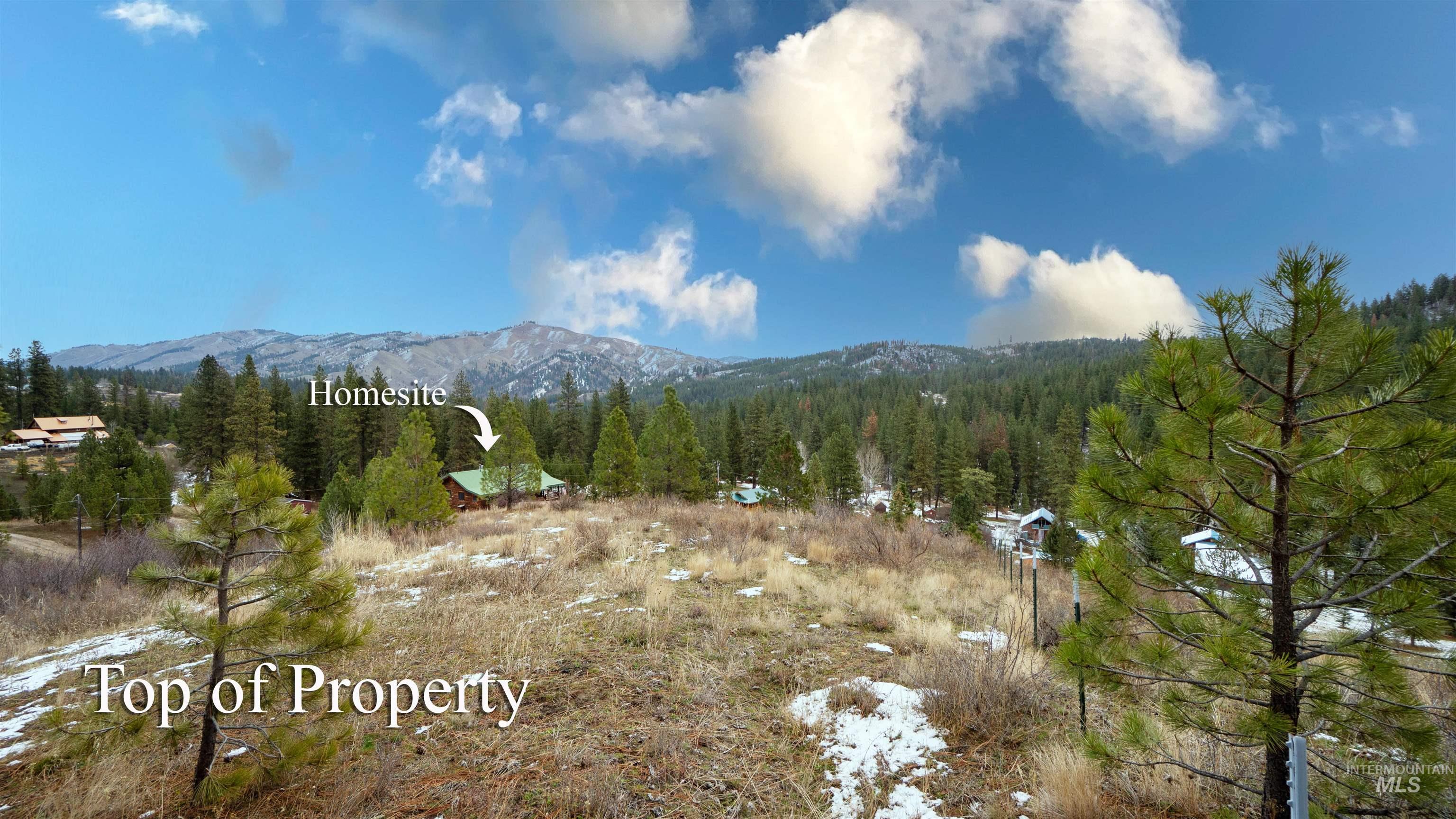 View of mountain backdrop with a heavily wooded area