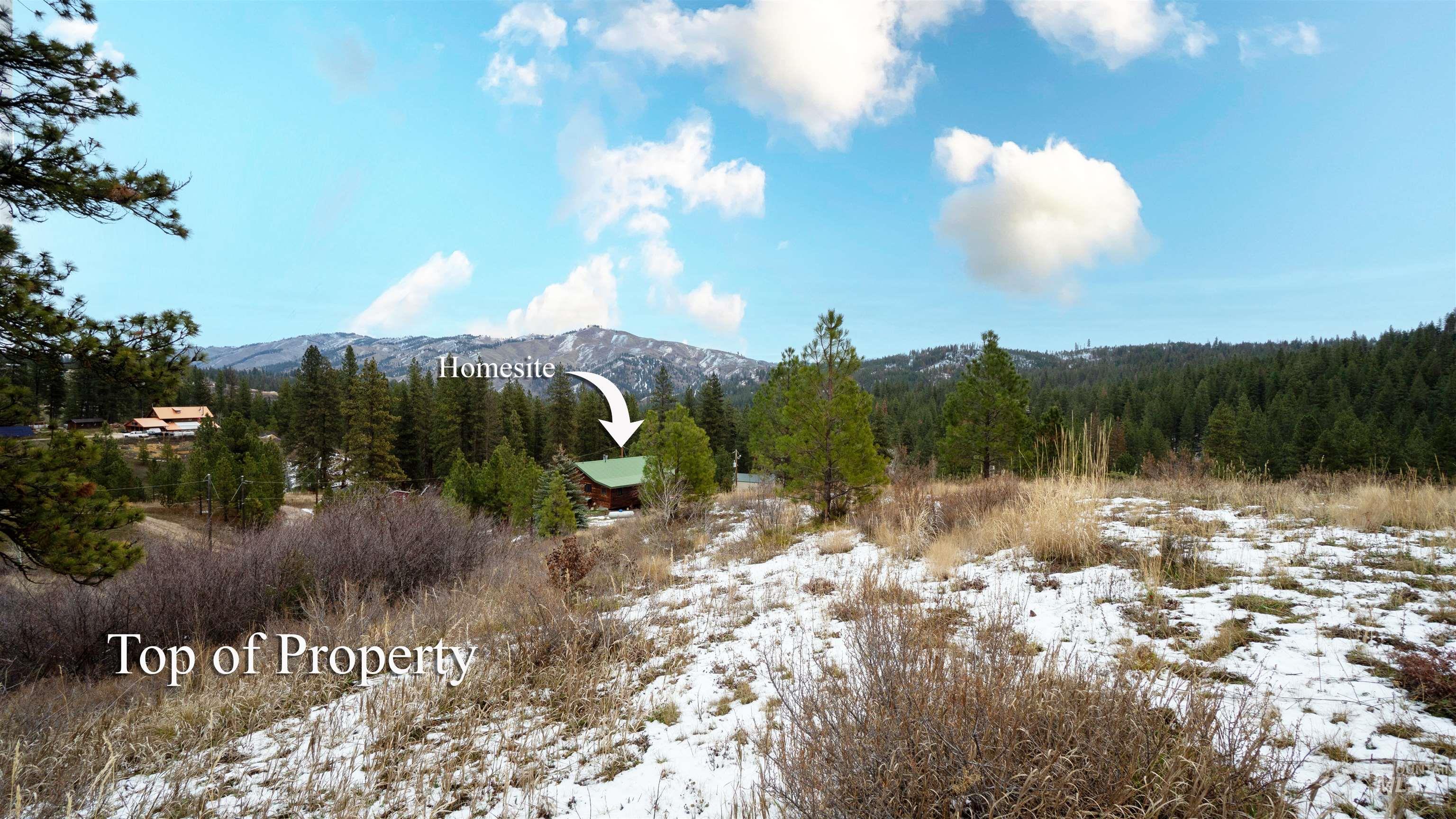 Mountain view featuring a heavily wooded area