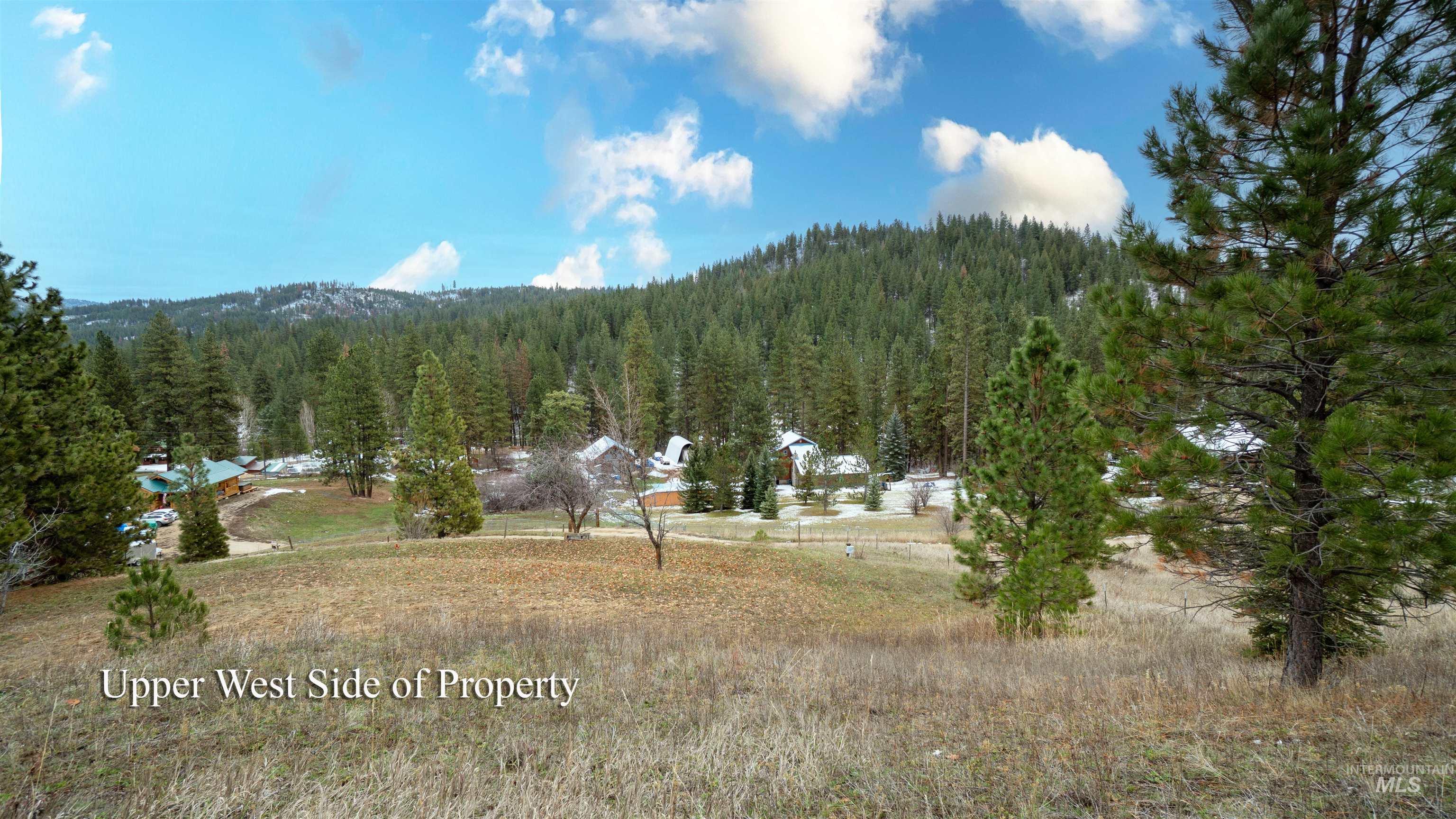 Mountain view with a heavily wooded area