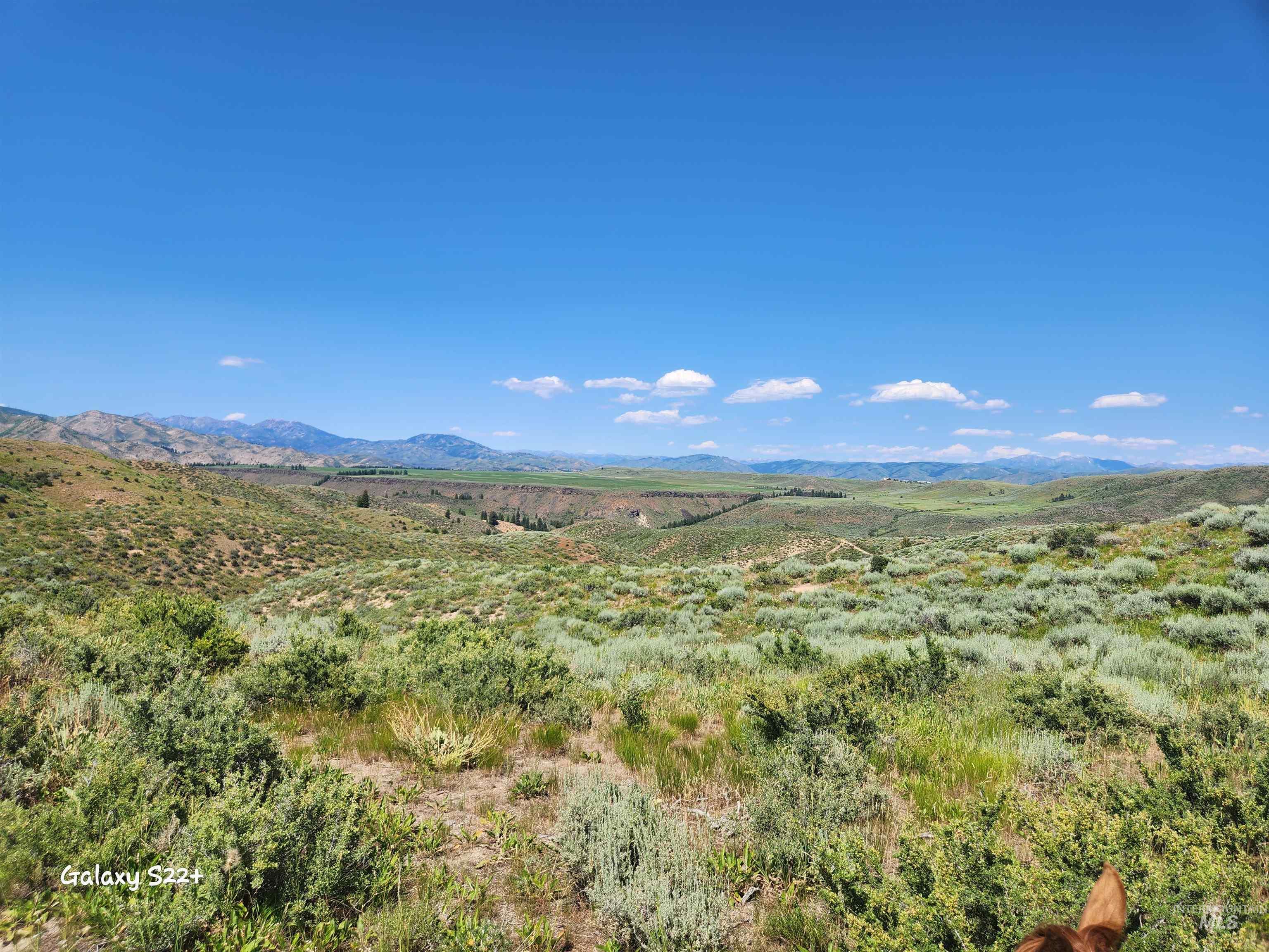 Ray Hunt Ranch, Mountain Home, Idaho 83647, 3 Bedrooms, 3 Bathrooms, Farm & Ranch For Sale, Price $4,500,000, 98943743