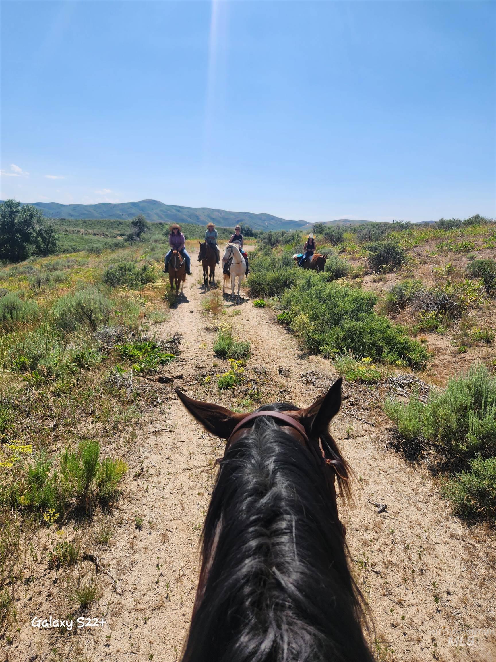 Ray Hunt Ranch, Mountain Home, Idaho 83647, 3 Bedrooms, 3 Bathrooms, Farm & Ranch For Sale, Price $4,500,000, 98943743
