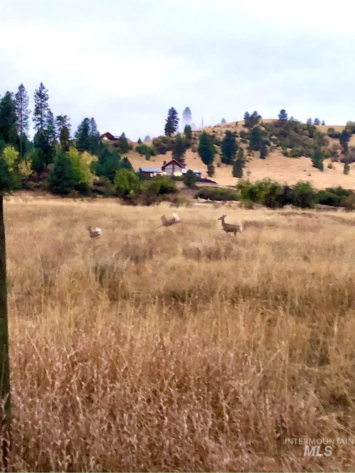 Lot 31 Cross Timber Loop, Garden Valley, Idaho 83622, Land For Sale, Price $268,900, 98943812