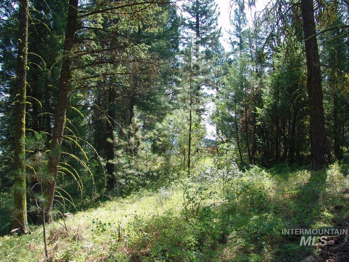 105 Poplar Lane, Cascade, Idaho 83611, Land For Sale, Price $275,000, 98943824