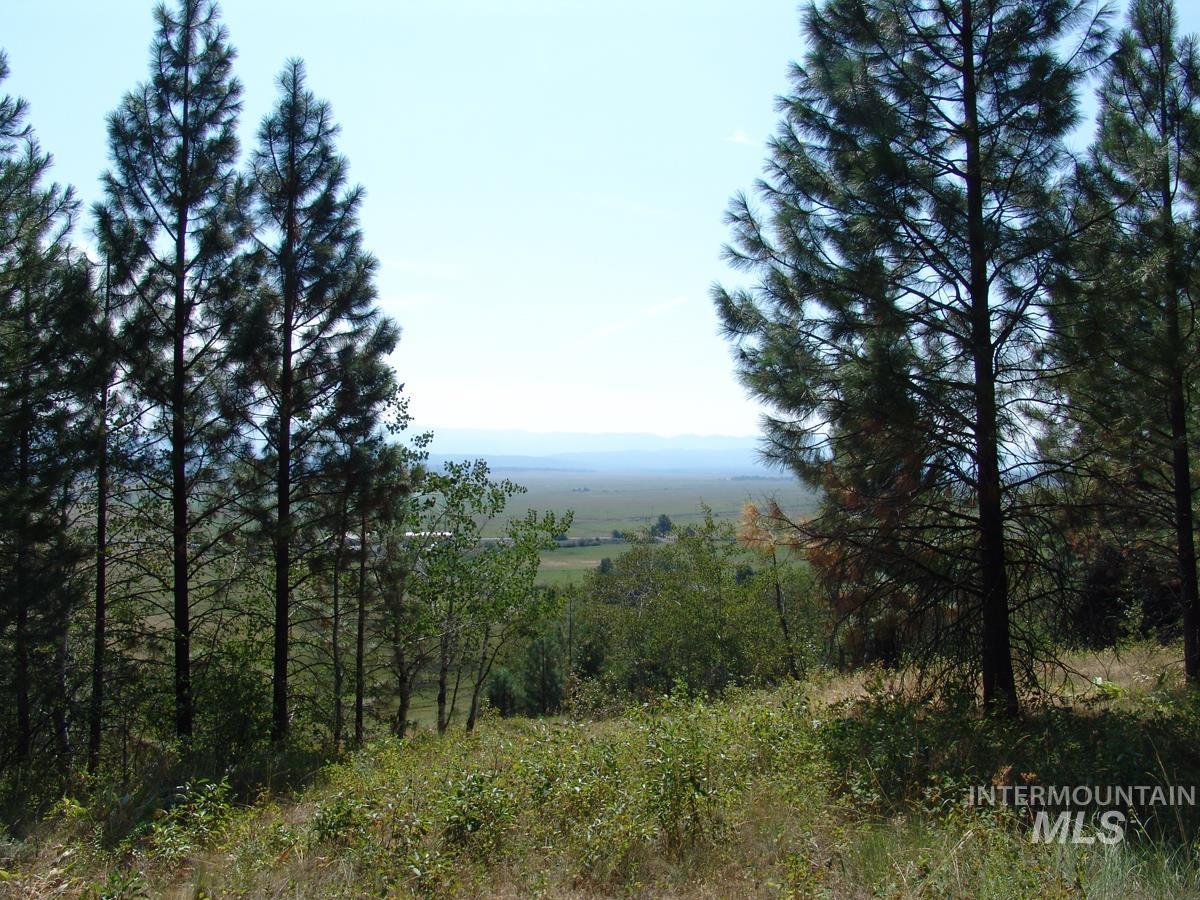 105 Poplar Lane, Cascade, Idaho 83611, Land For Sale, Price $275,000, 98943824