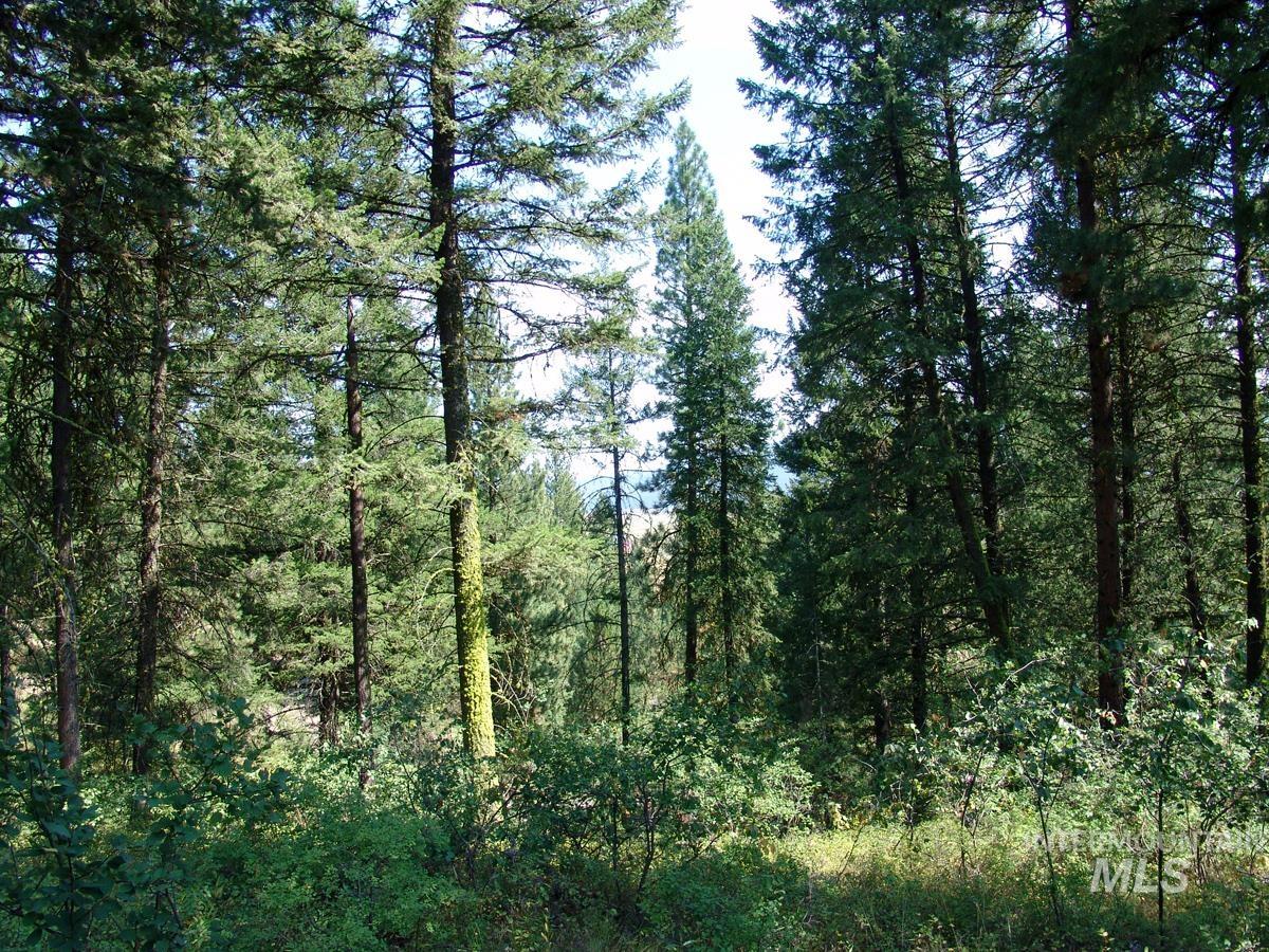 105 Poplar Lane, Cascade, Idaho 83611, Land For Sale, Price $275,000, 98943824