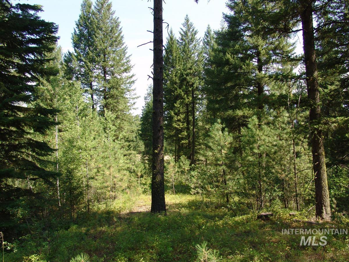 105 Poplar Lane, Cascade, Idaho 83611, Land For Sale, Price $275,000, 98943824