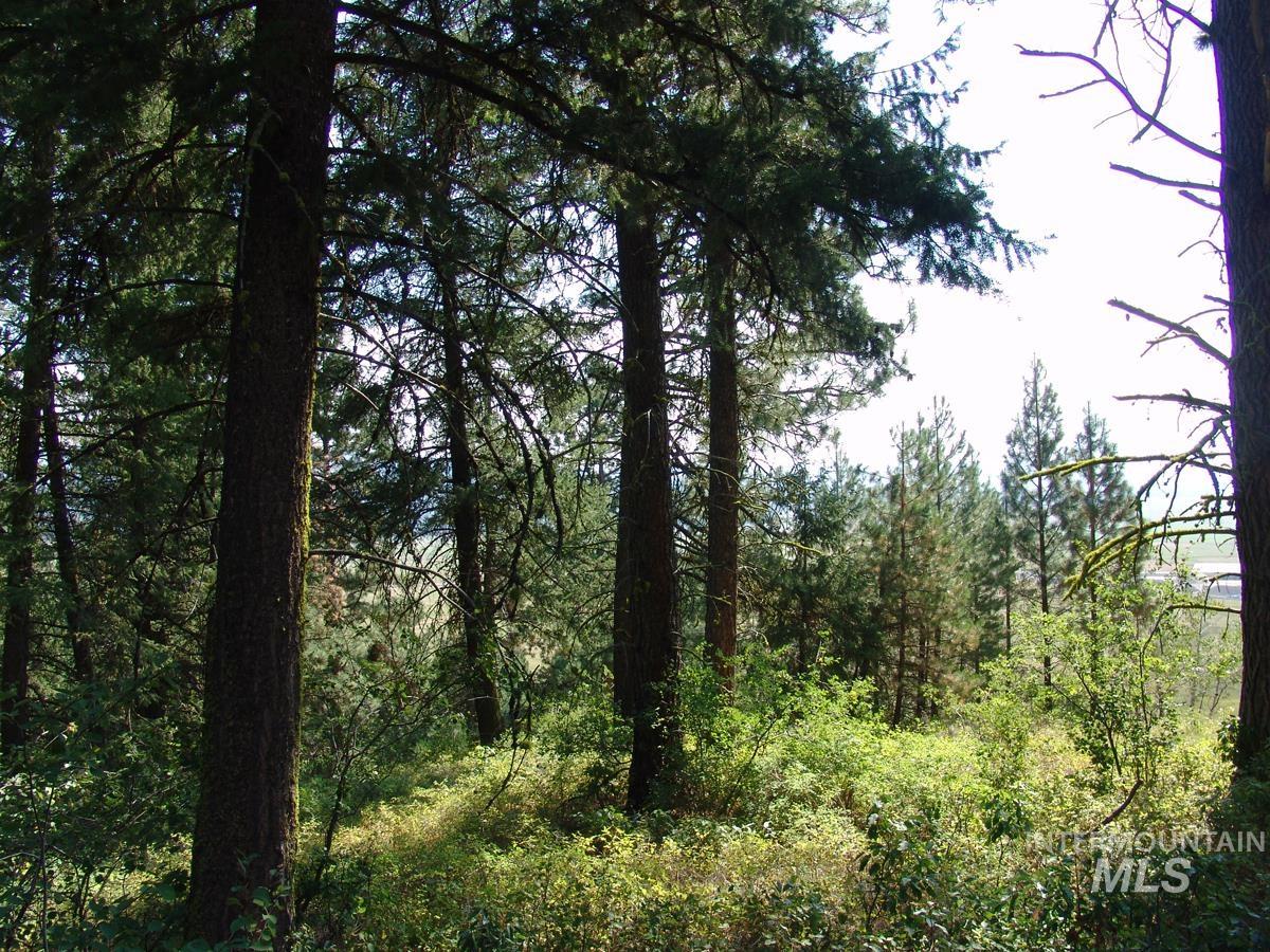 105 Poplar Lane, Cascade, Idaho 83611, Land For Sale, Price $275,000, 98943824