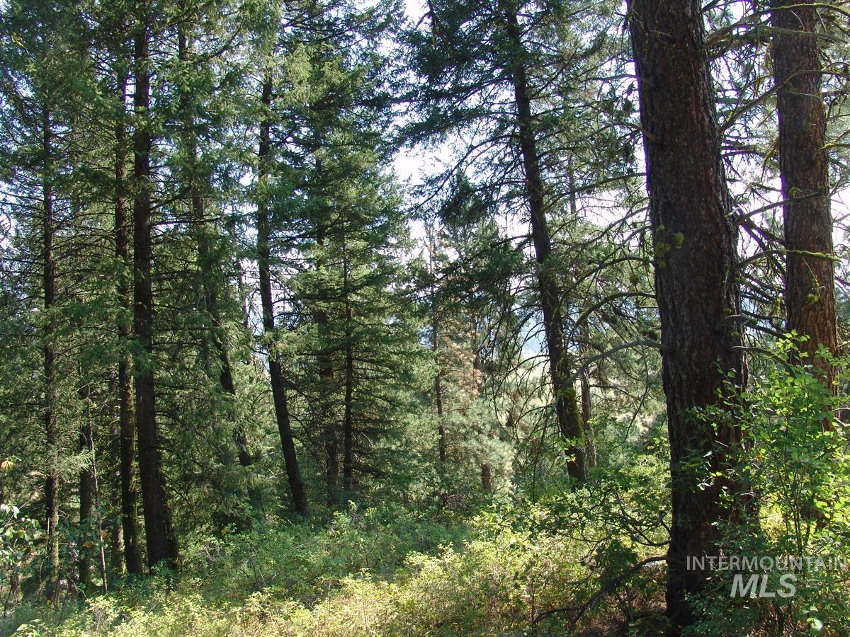 105 Poplar Lane, Cascade, Idaho 83611, Land For Sale, Price $275,000, 98943824