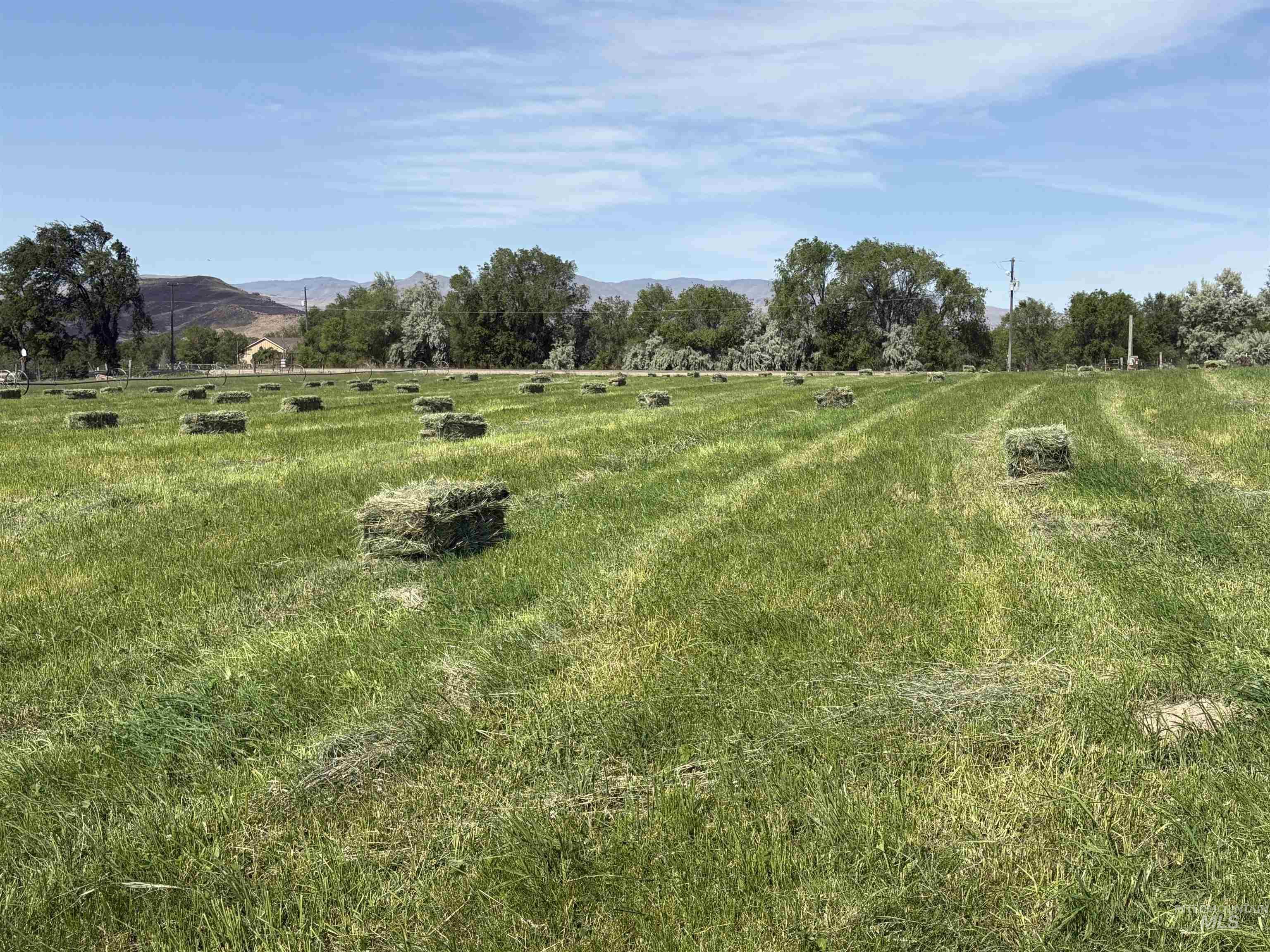 View with a rural view and a mountain view
