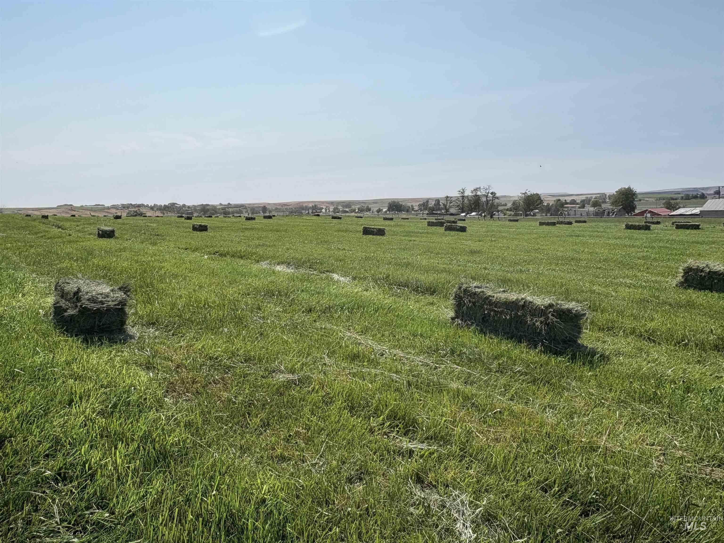 View with a view of rural / pastoral area
