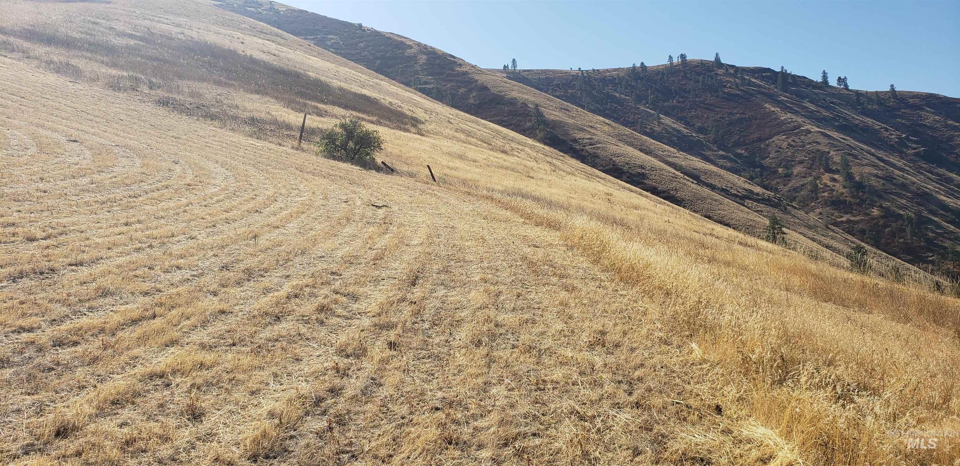 NKA Clearwater Ridge Dr., Juliaetta, Idaho 83535-000, Land For Sale, Price $524,500, 98944058