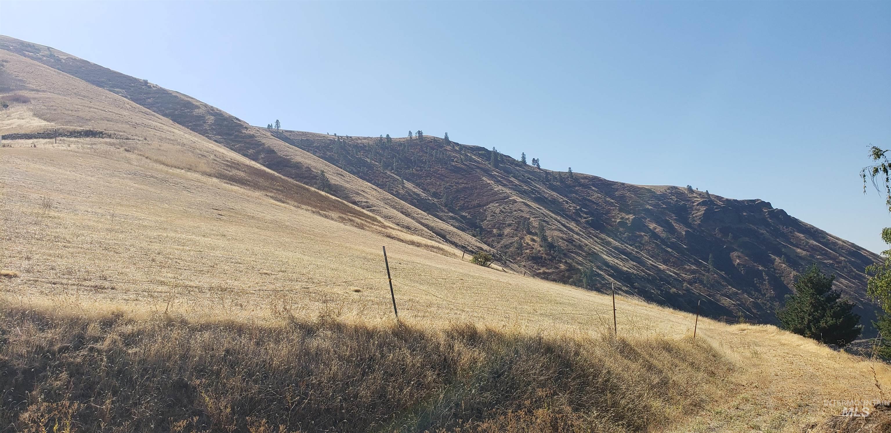 NKA Clearwater Ridge Dr., Juliaetta, Idaho 83535-000, Land For Sale, Price $524,500, 98944058