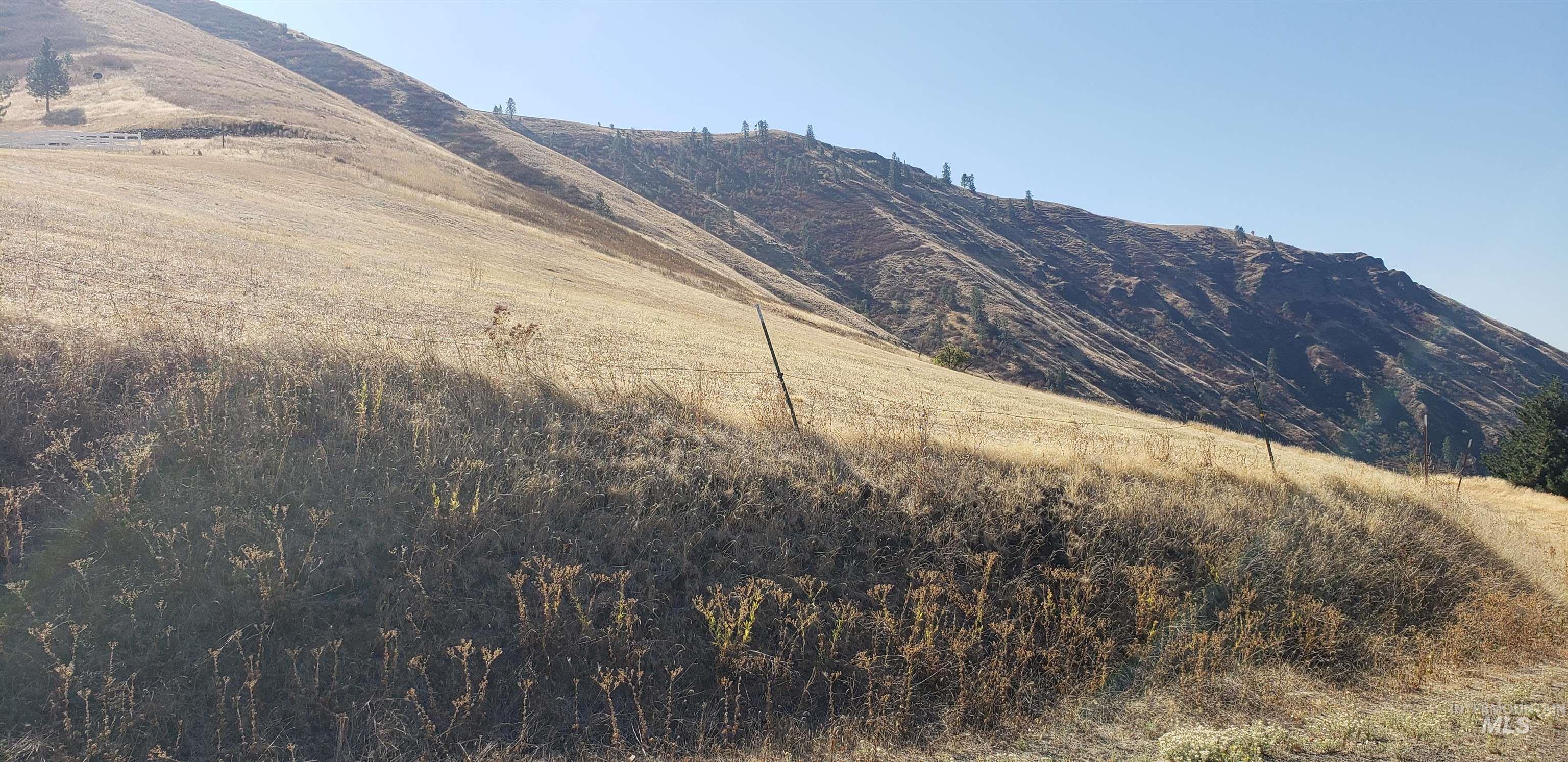 NKA Clearwater Ridge Dr., Juliaetta, Idaho 83535-000, Land For Sale, Price $524,500, 98944058