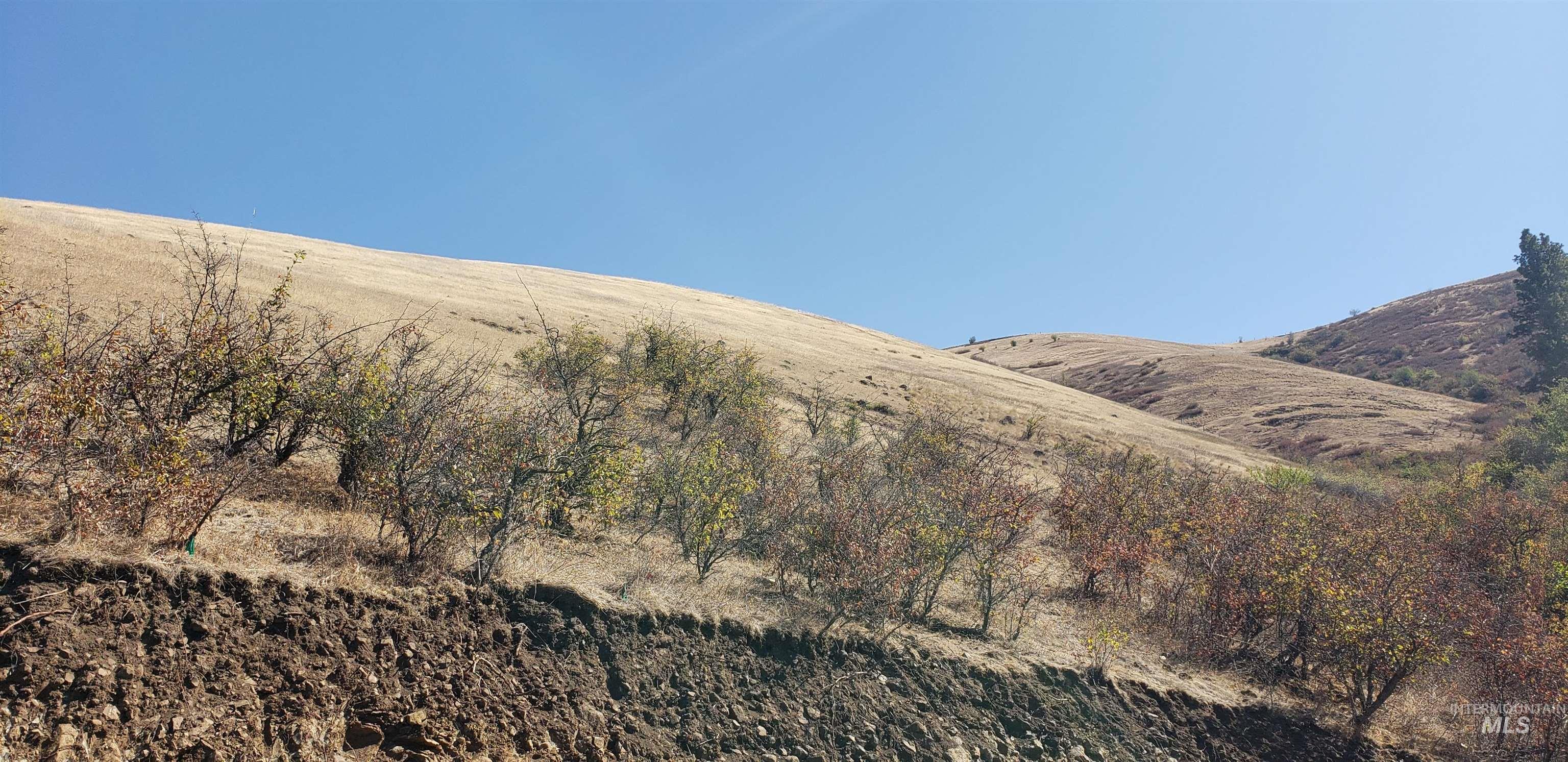 NKA Clearwater Ridge Dr., Juliaetta, Idaho 83535-000, Land For Sale, Price $524,500, 98944058