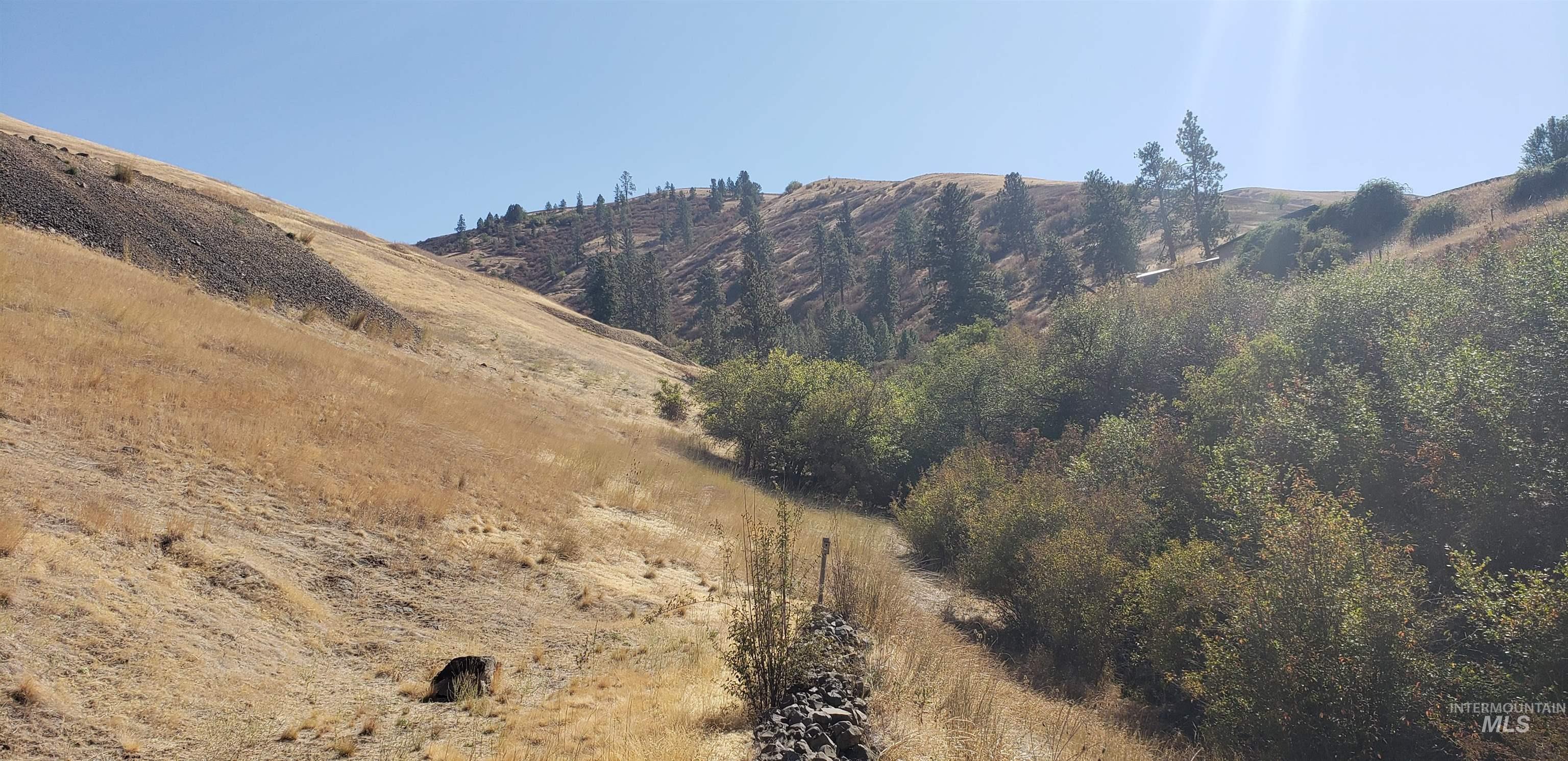 NKA Clearwater Ridge Dr., Juliaetta, Idaho 83535-000, Land For Sale, Price $524,500, 98944058