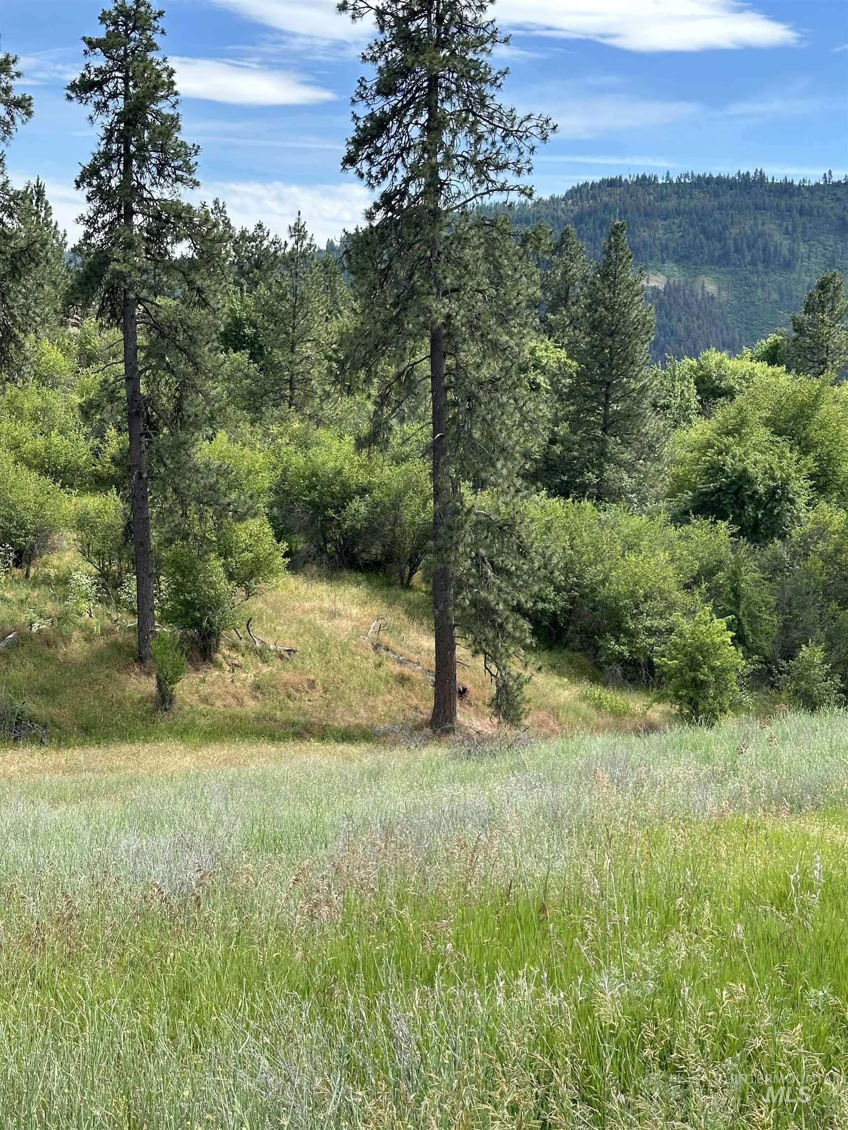 NKA Sunnyside Bench Rd., Lenore, Idaho 83541-000, Land For Sale, Price $110,500, 98944061