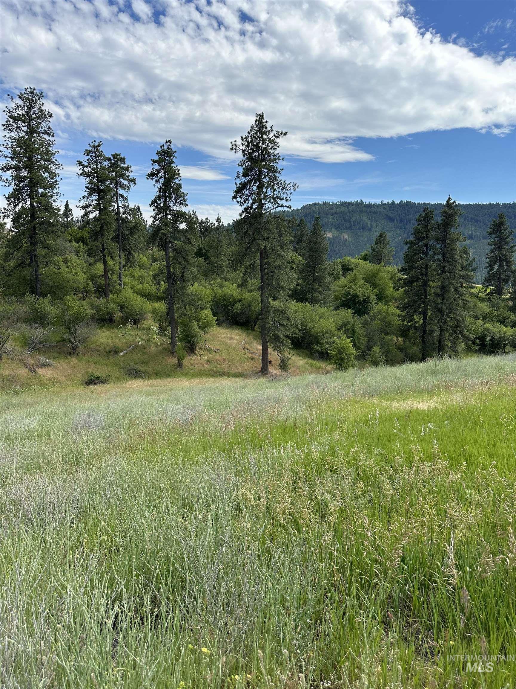 NKA Sunnyside Bench Rd., Lenore, Idaho 83541-000, Land For Sale, Price $110,500, 98944061