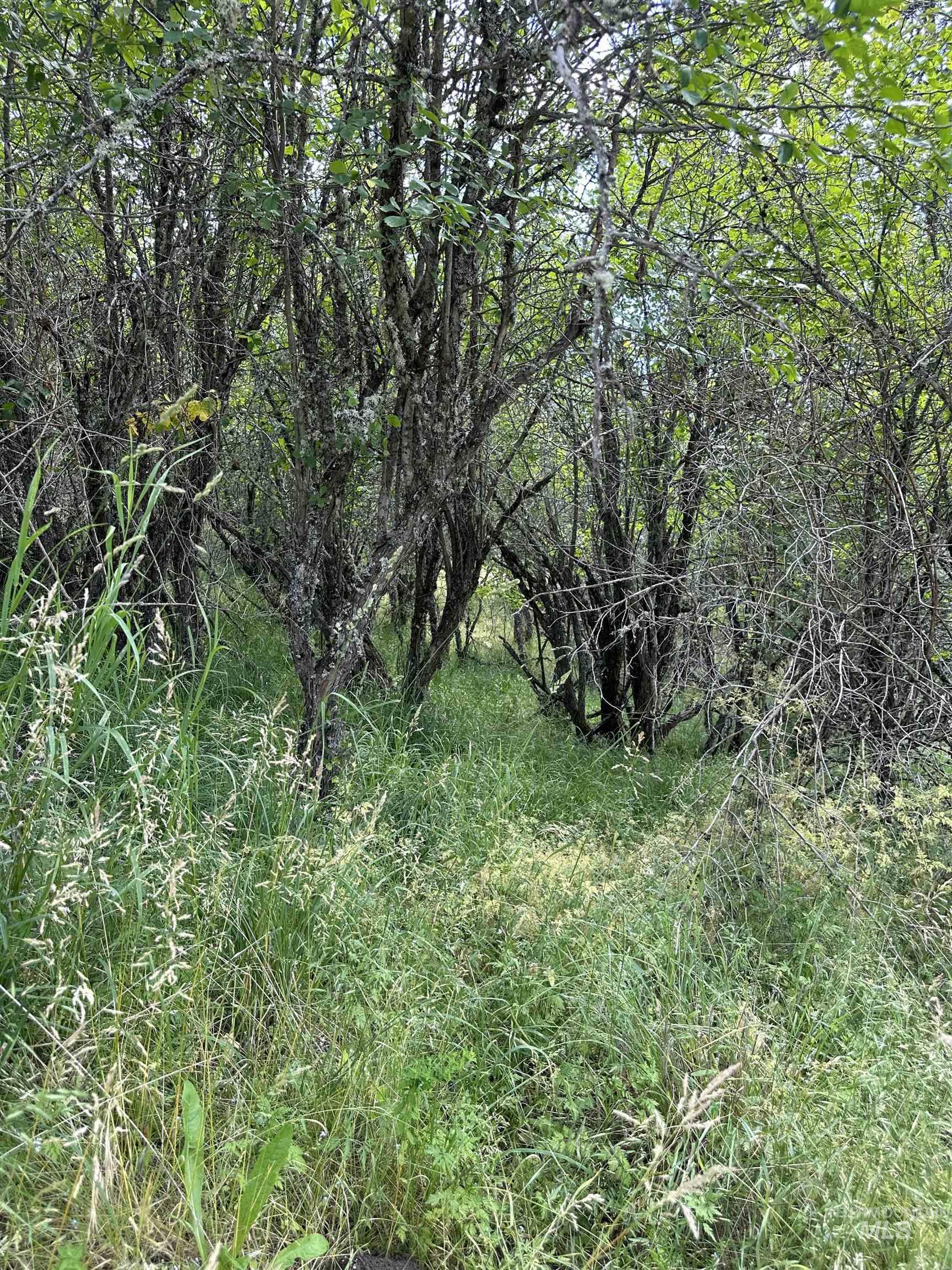 NKA Sunnyside Bench Rd., Lenore, Idaho 83541-000, Land For Sale, Price $110,500, 98944061