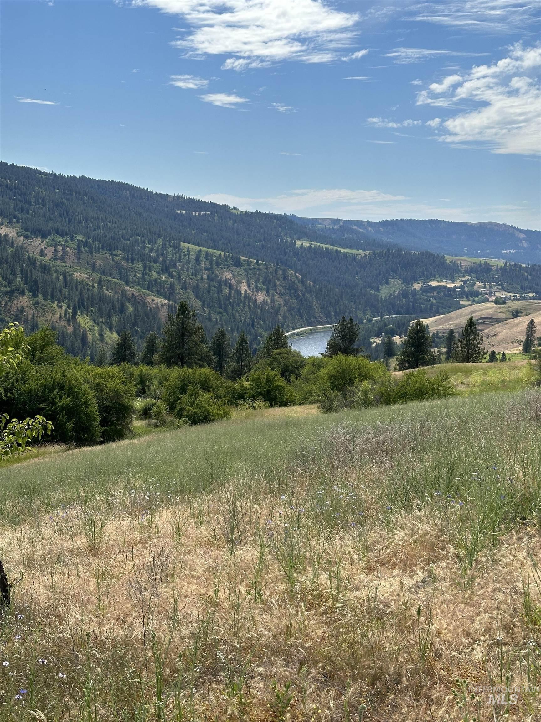 NKA Sunnyside Bench Rd., Lenore, Idaho 83541-000, Land For Sale, Price $110,500, 98944061