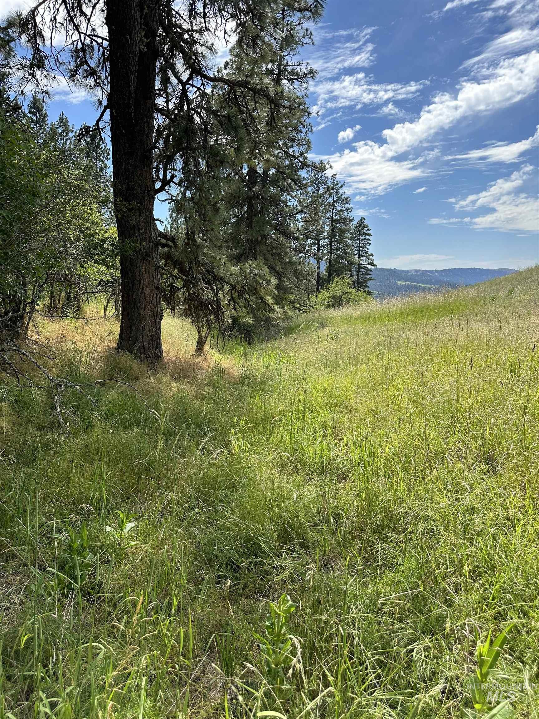 NKA Sunnyside Bench Rd., Lenore, Idaho 83541-000, Land For Sale, Price $110,500, 98944061