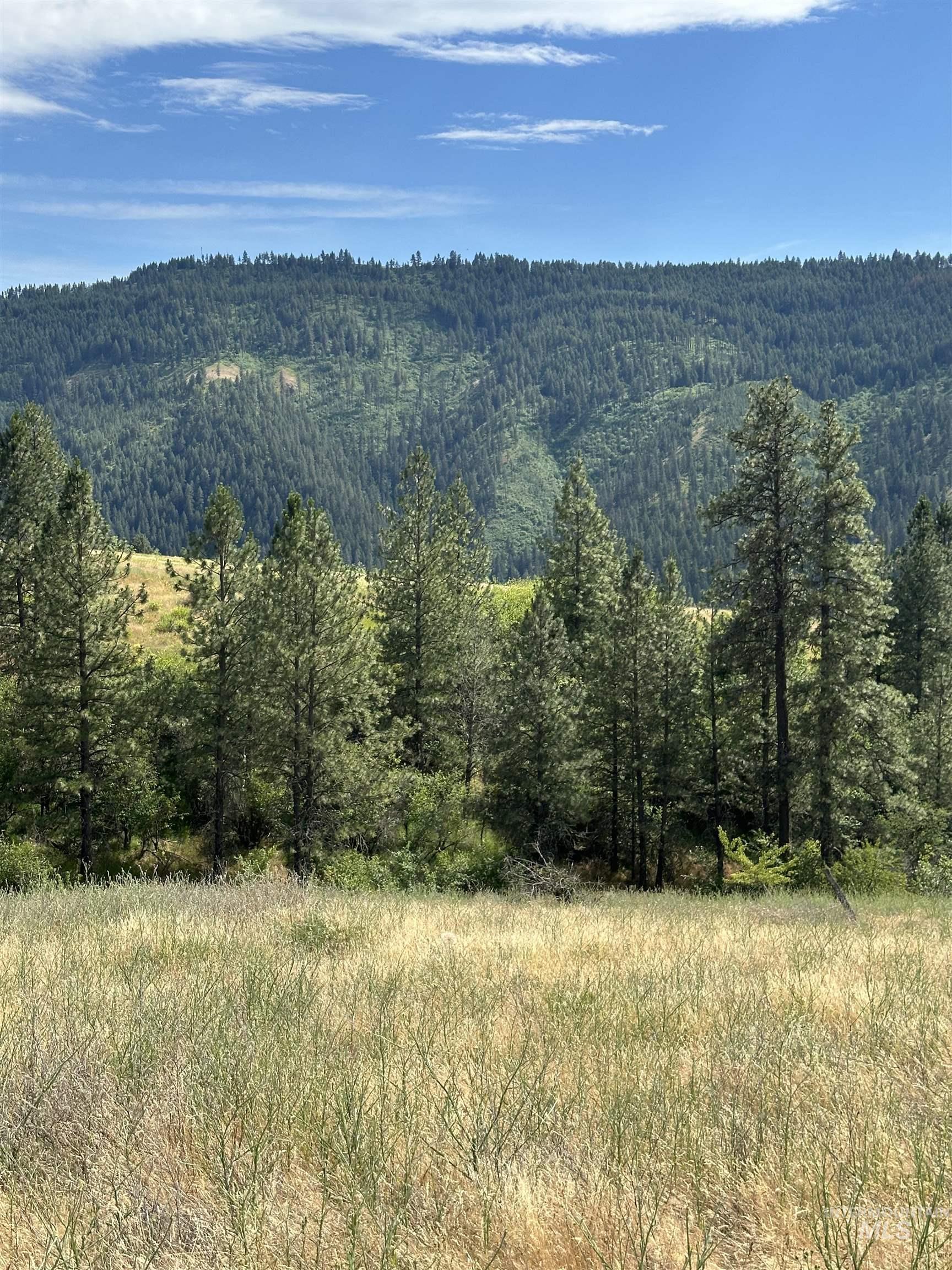 NKA Sunnyside Bench Rd., Lenore, Idaho 83541-000, Land For Sale, Price $110,500, 98944061