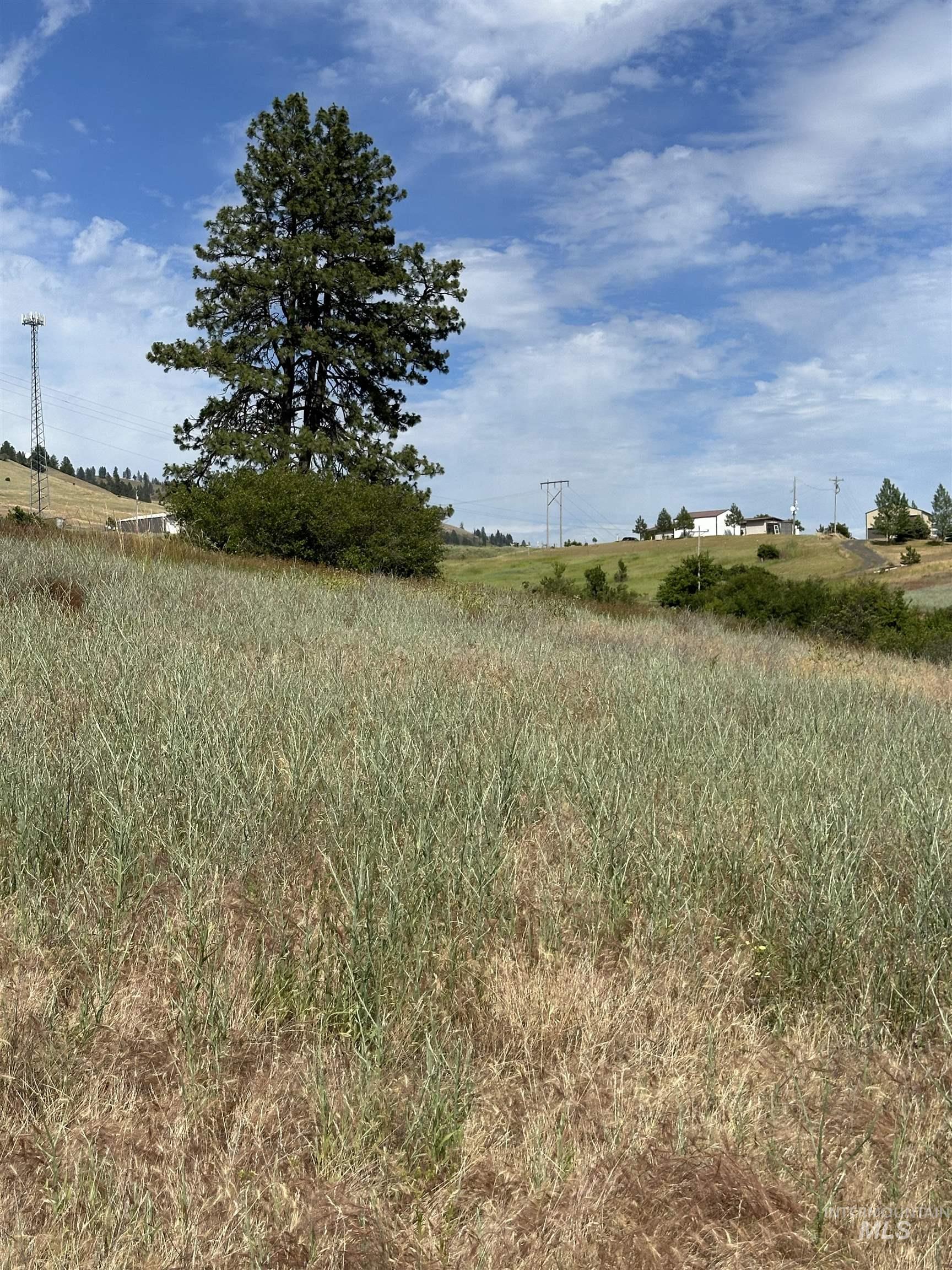 NKA Sunnyside Bench Rd., Lenore, Idaho 83541-000, Land For Sale, Price $110,500, 98944061