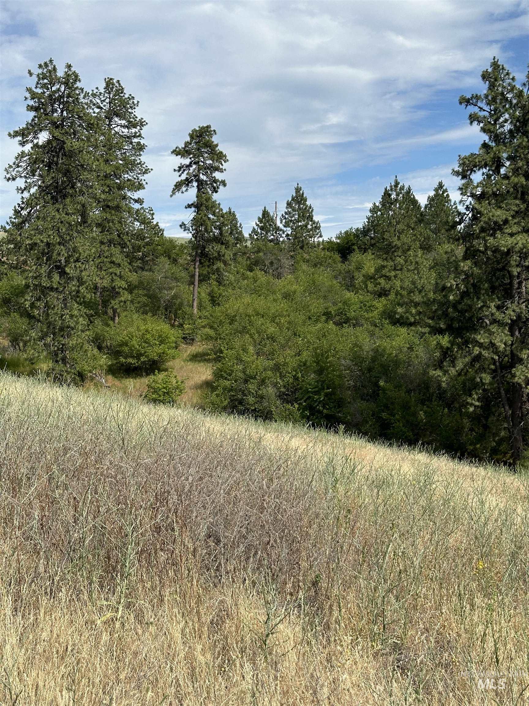 NKA Sunnyside Bench Rd., Lenore, Idaho 83541-000, Land For Sale, Price $110,500, 98944061