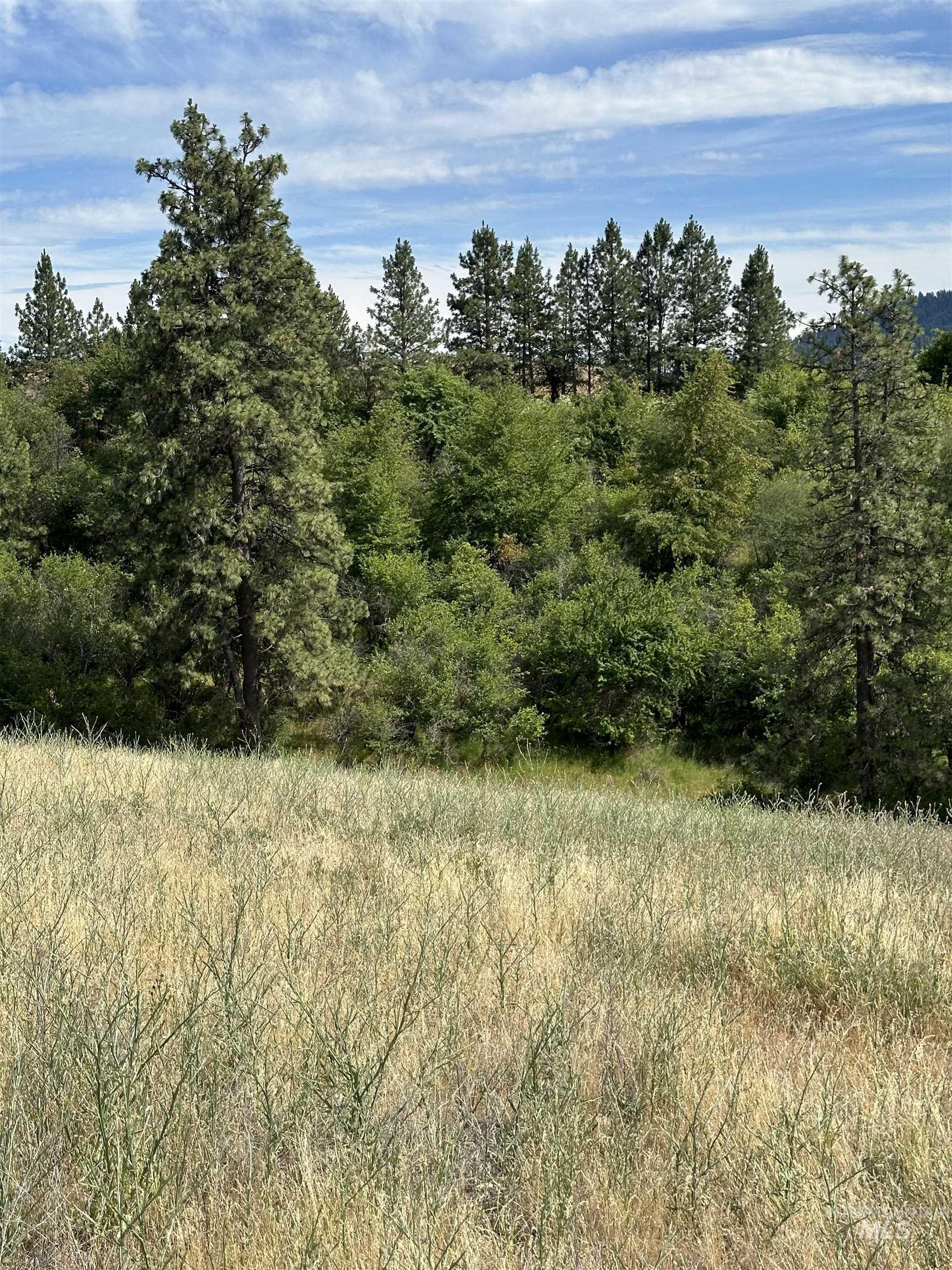 NKA Sunnyside Bench Rd., Lenore, Idaho 83541-000, Land For Sale, Price $110,500, 98944061